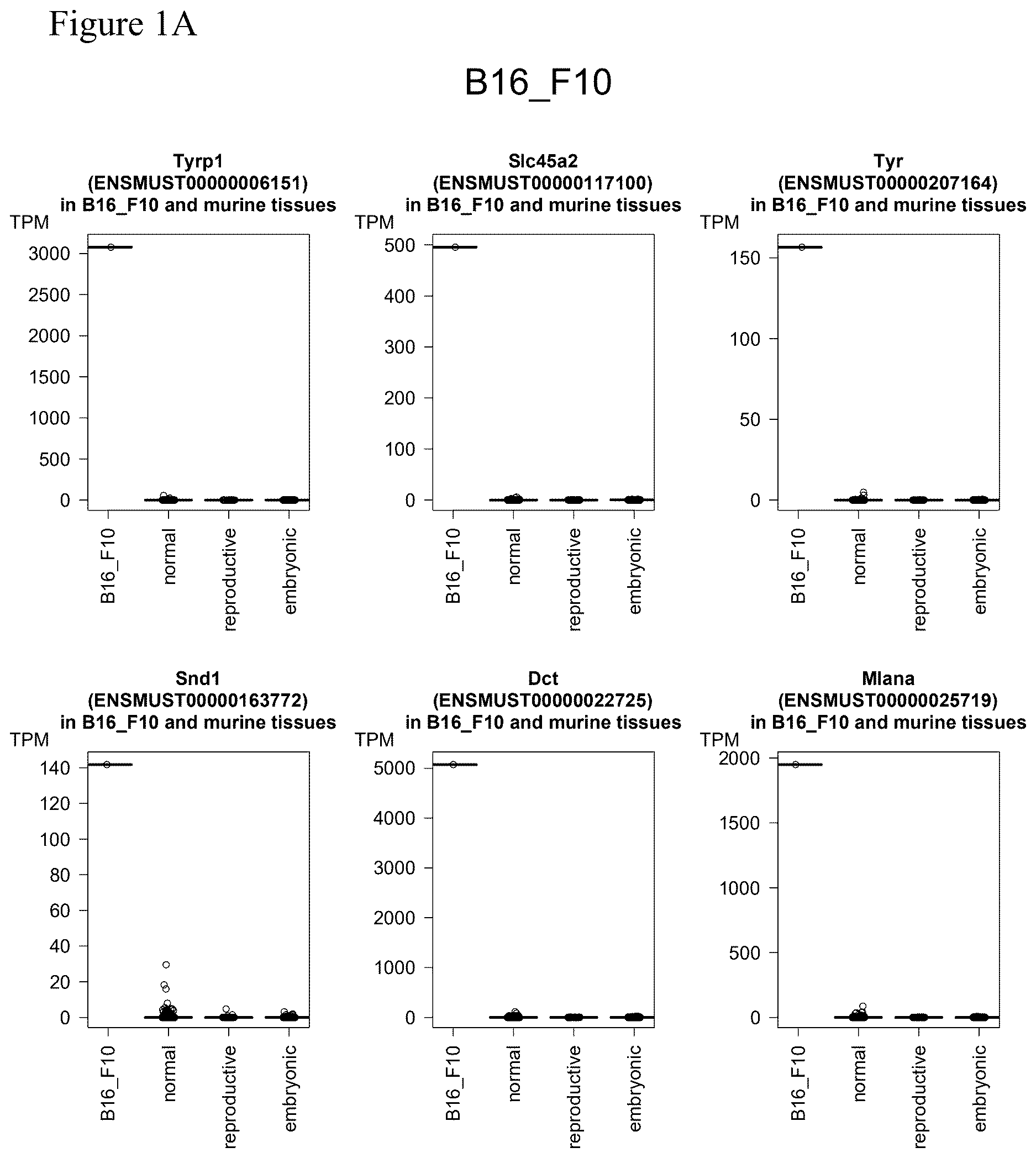 Patent US12611449 — Individualized vaccines for cancer — Figure 1