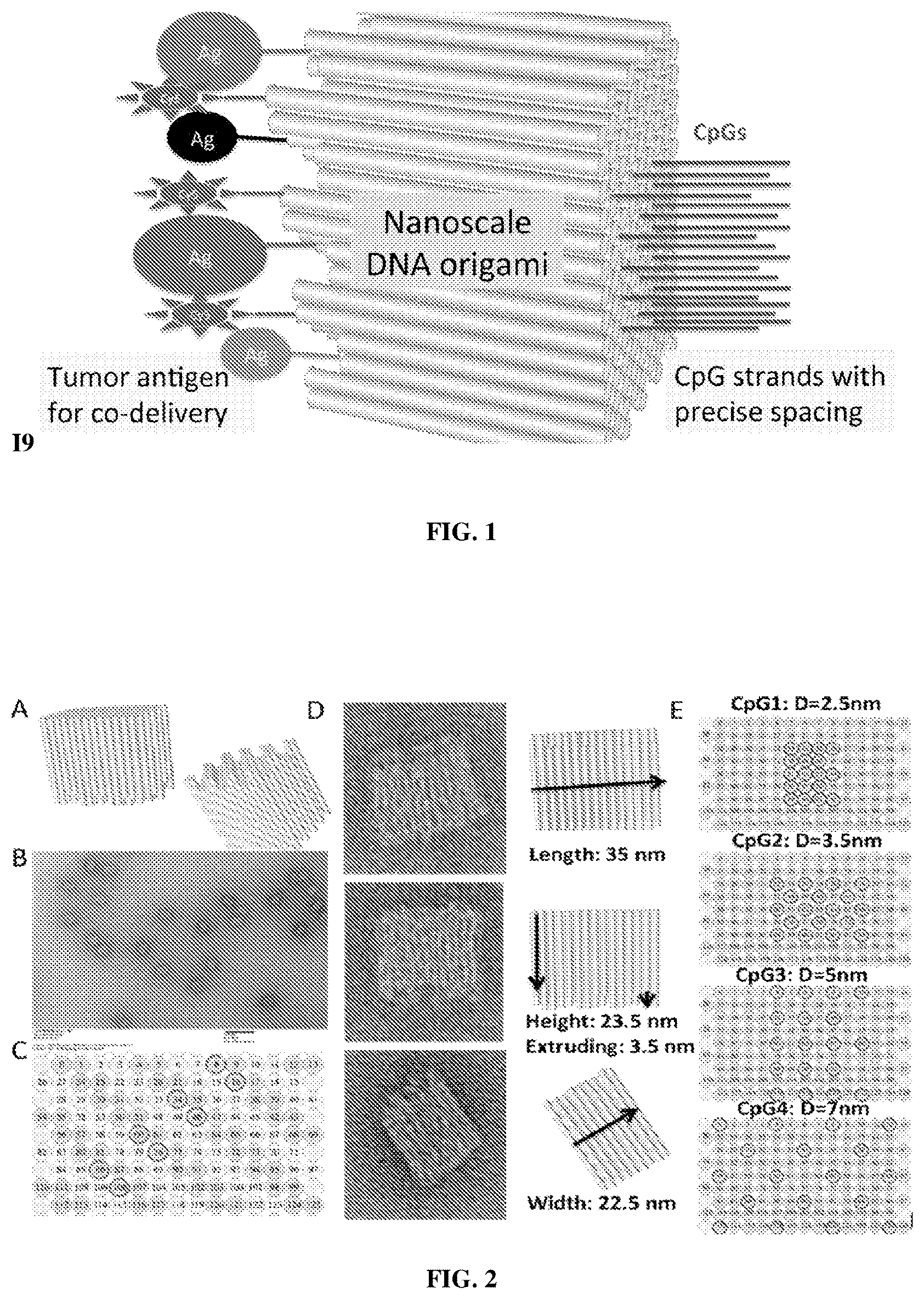 Patent US12611455 Figure 1 – DNA nanostructure-based vaccines