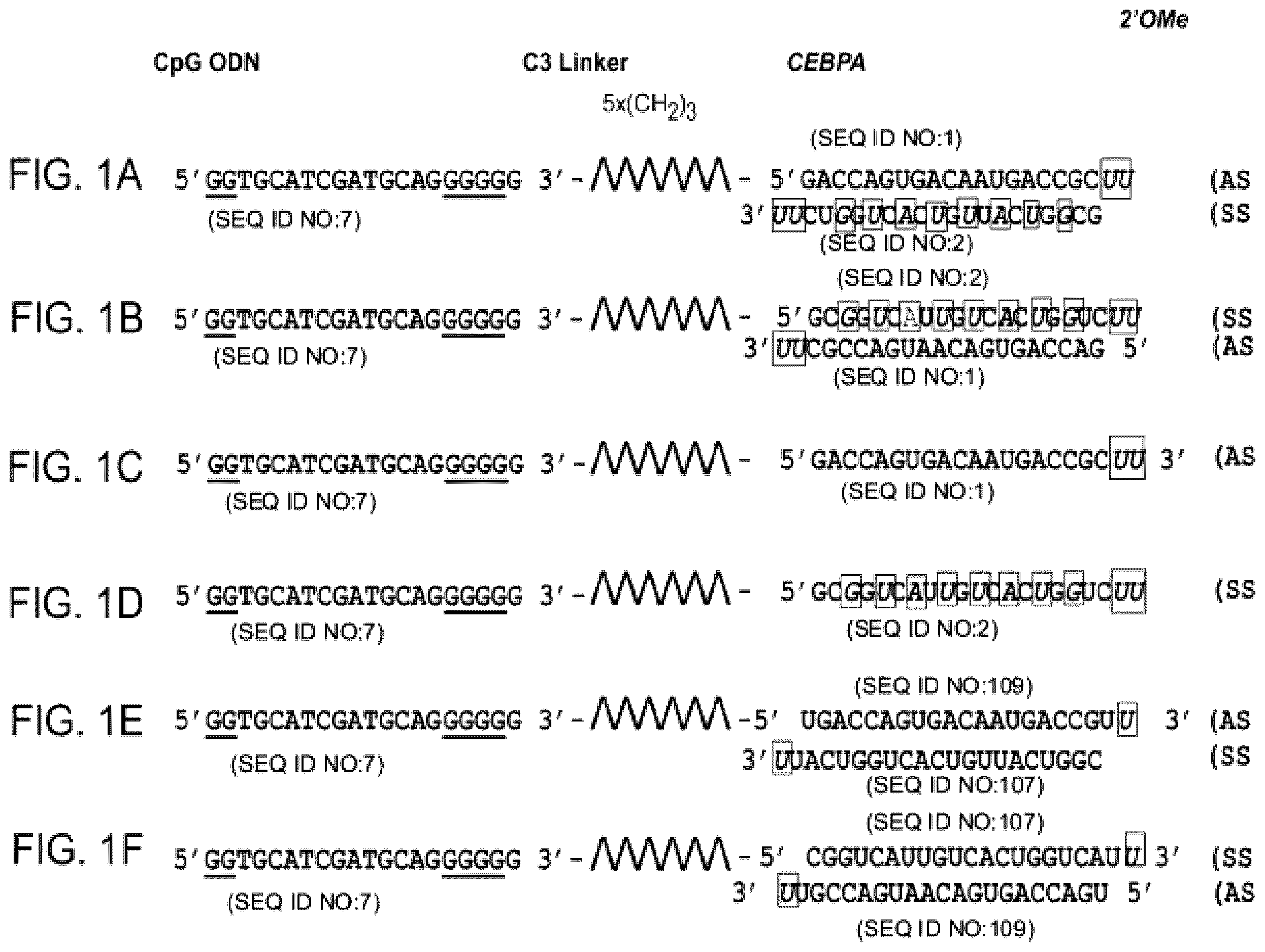Patent US12611462 — Compounds and compositions including phosphorothioated oligodeoxynucleotide, and methods of use thereof — Figure 1