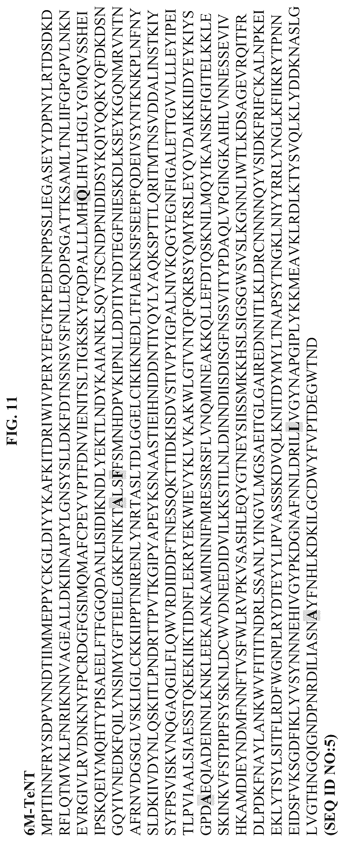 Patent US12611464 Figure 11 – Modified clostridial neurotoxins as vaccine and conjugate vaccine platforms