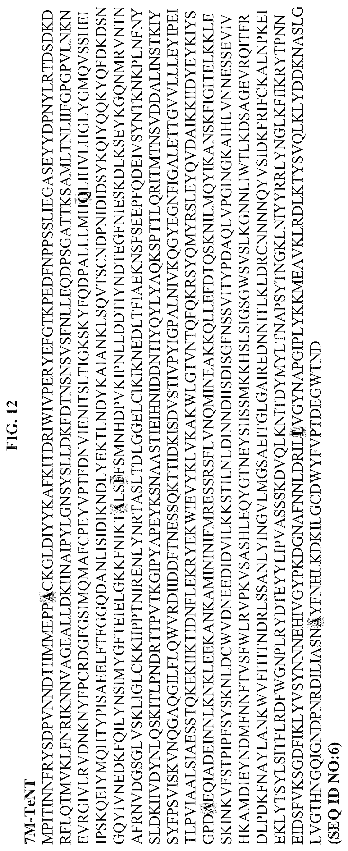 Patent US12611464 Figure 12 – Modified clostridial neurotoxins as vaccine and conjugate vaccine platforms