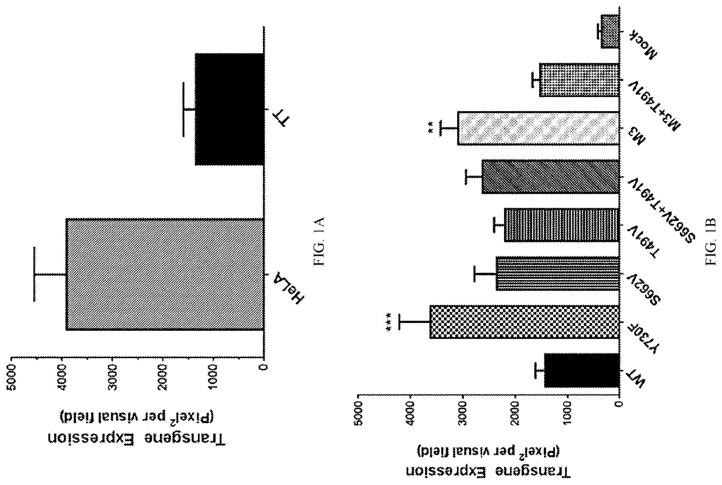 Patent US12611468 — Recombinant adeno-associated virus vectors to target medullary thyroid carcinoma — Figure 1