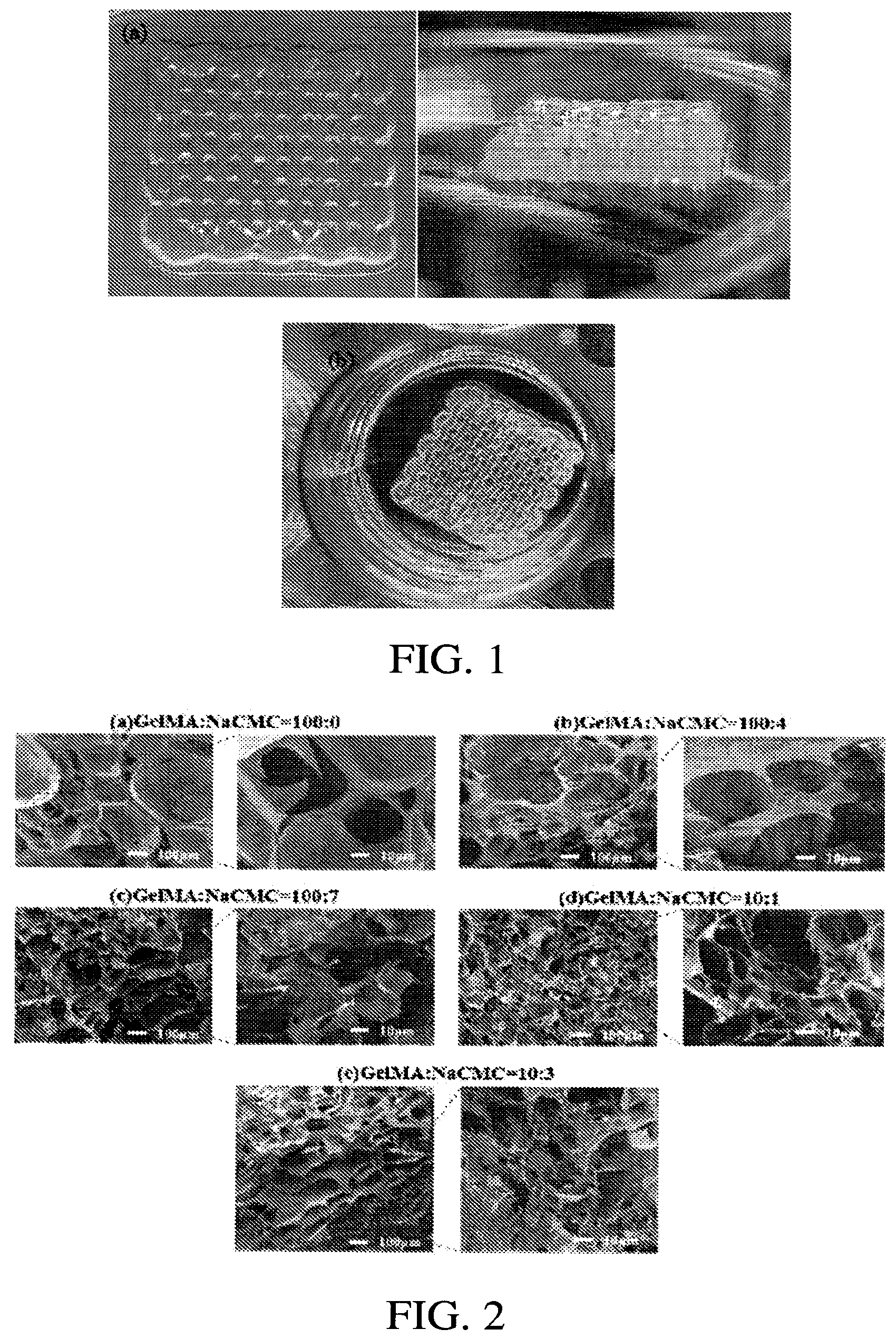 Patent US12611488 Figure 1 – Photocurable composite hydrogel matrix precursor, preparation method thereof and scaffold with same