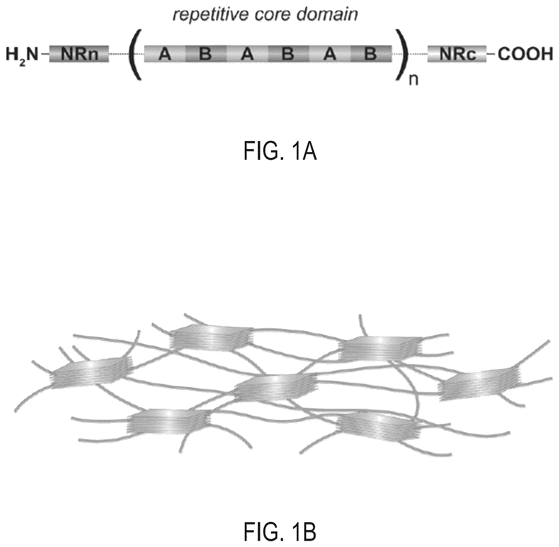 Patent US12611489 — Methods for generating surface coatings via self-assembly of silk fibroin and silk fibroin-like macromolecules — Figure 1
