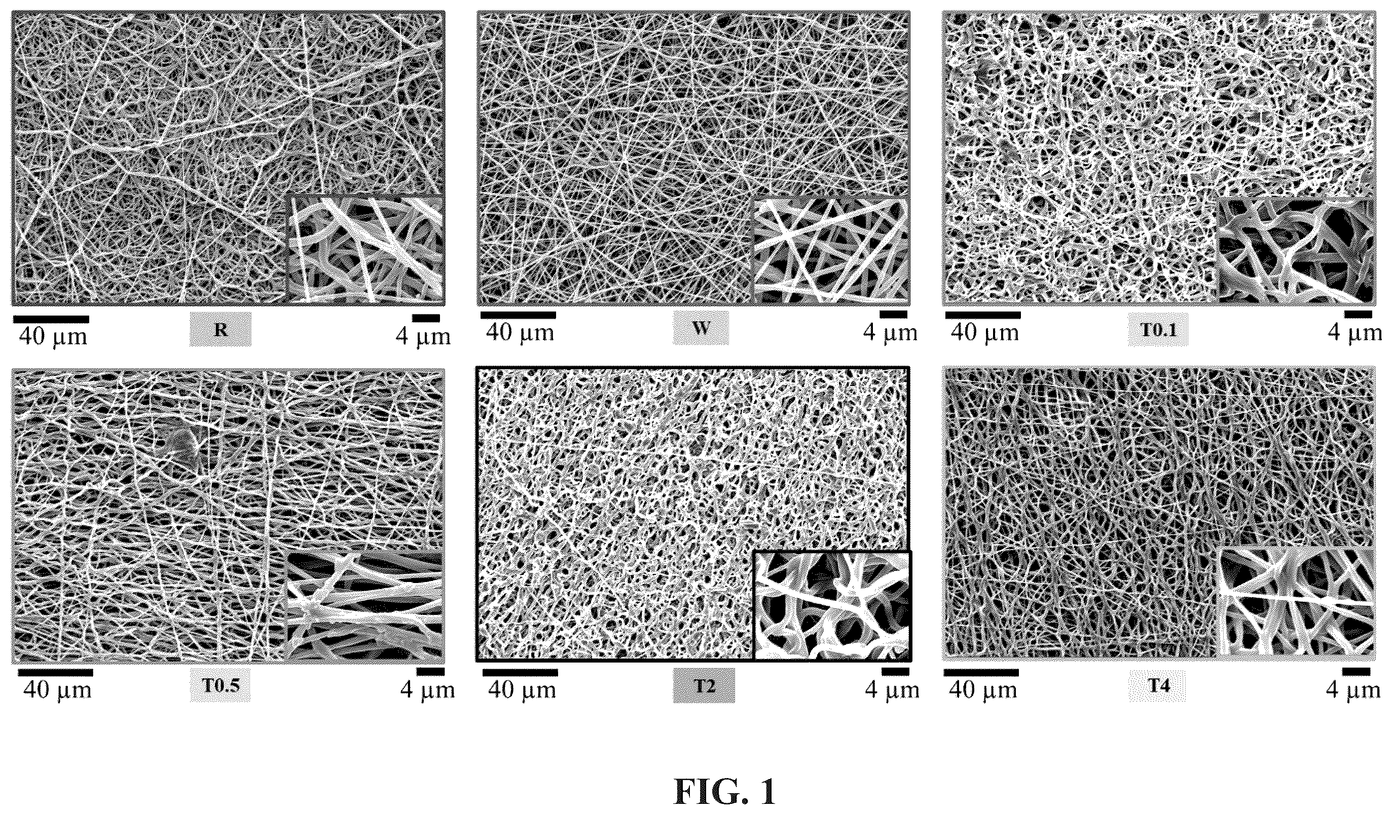 Patent US12611665 — In situ chromatic biosensor — Figure 1