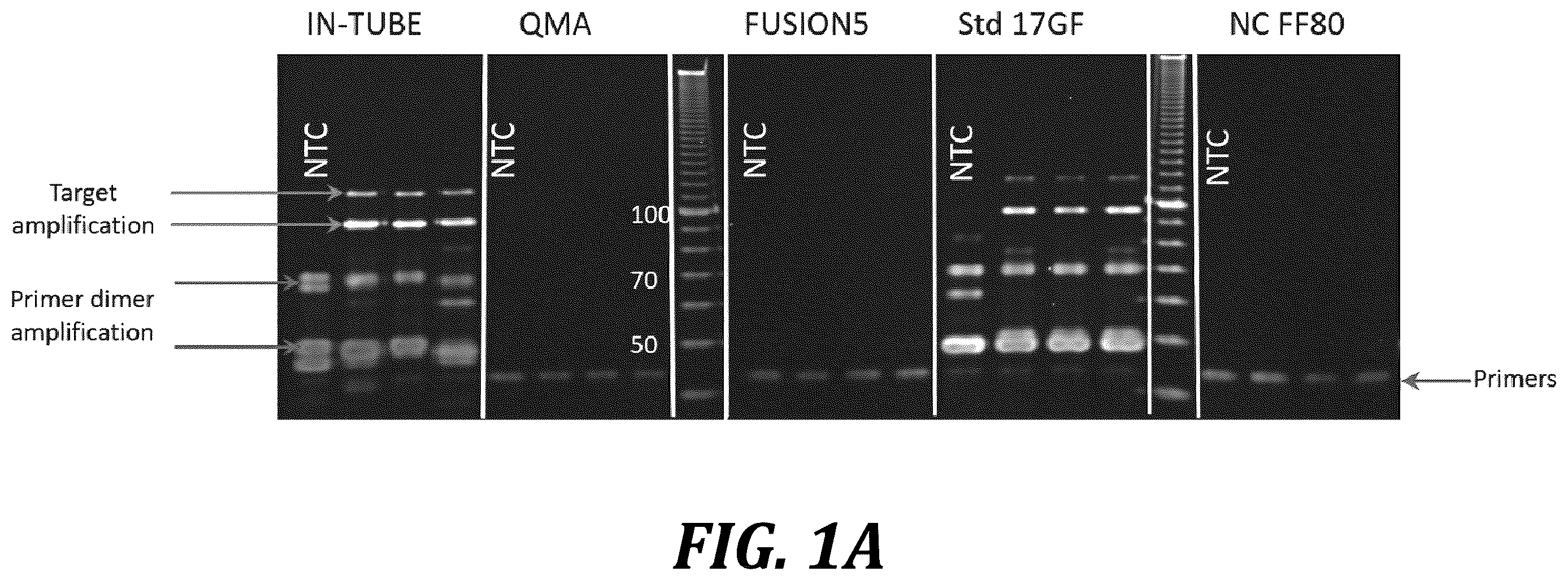 Patent US12611668 — Long-term dry storage of enzyme-based reagents in a porous matrix — Figure 1