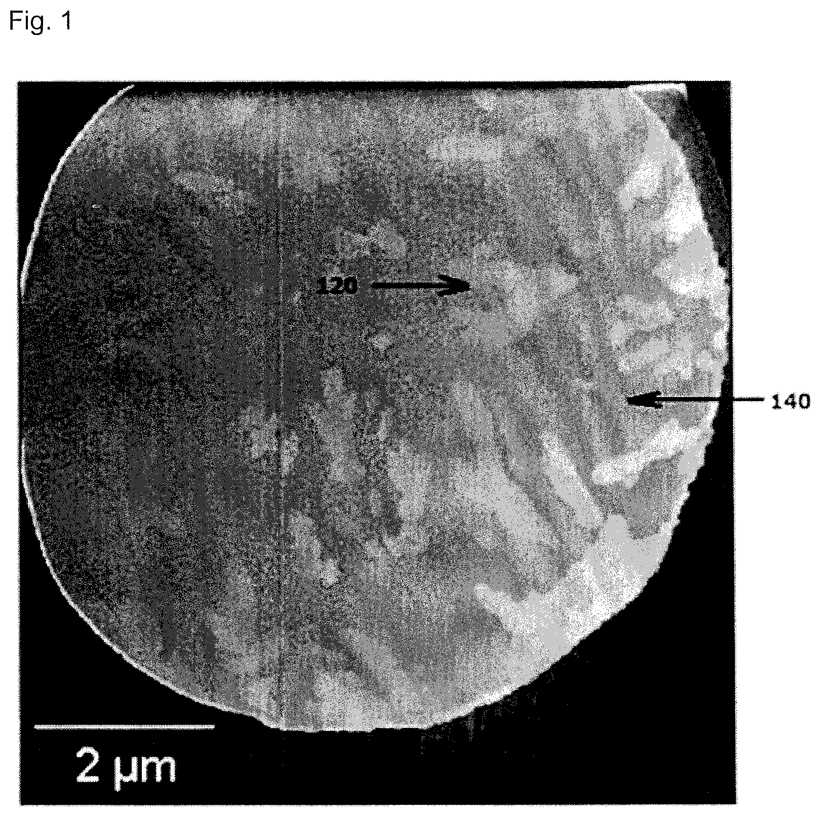 Patent US12611737 — Metal particle for joint material — Figure 1