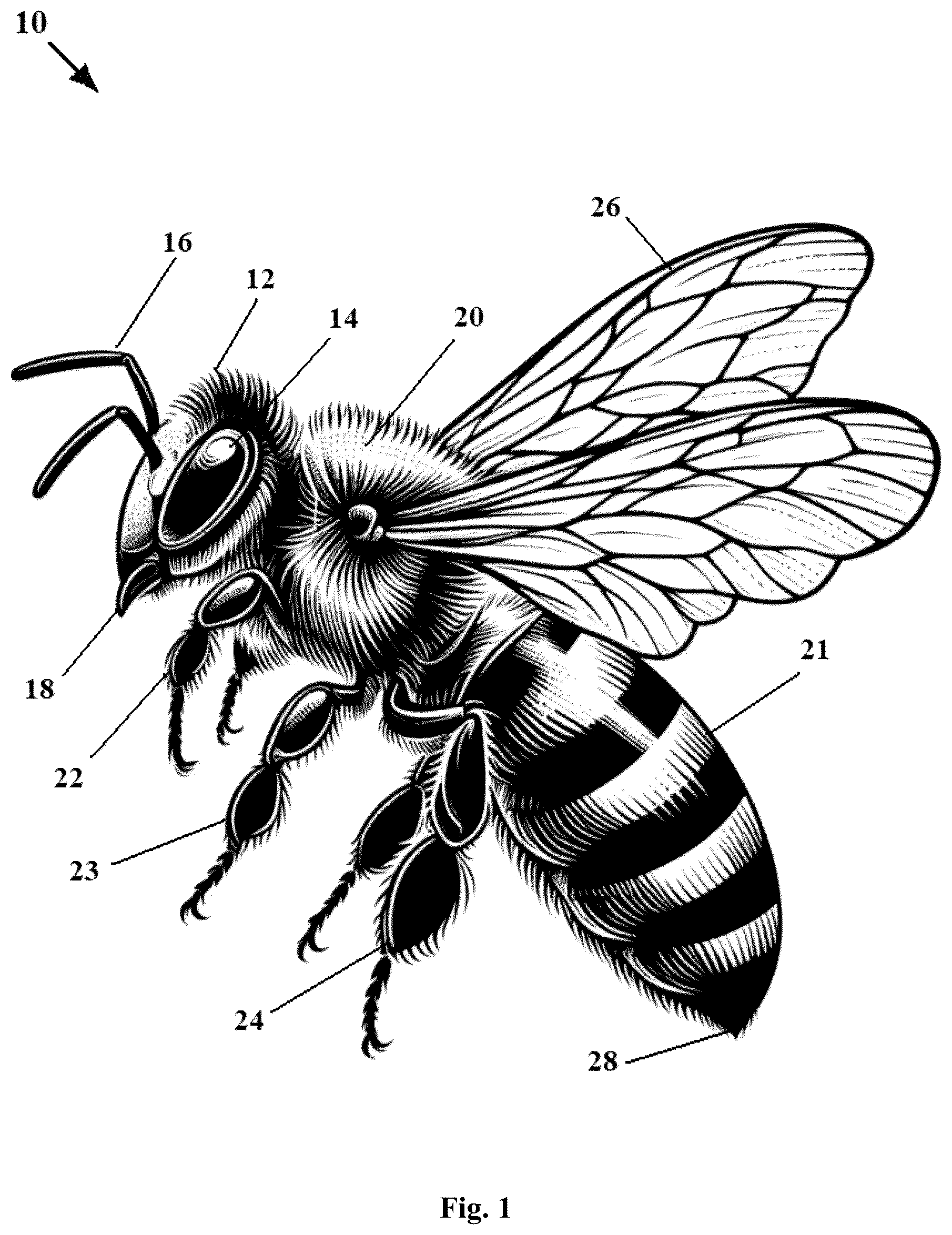 Patent US12612192 — Robotic bees and mantis and insect-like robots with embodied artificial intelligence — Figure 1