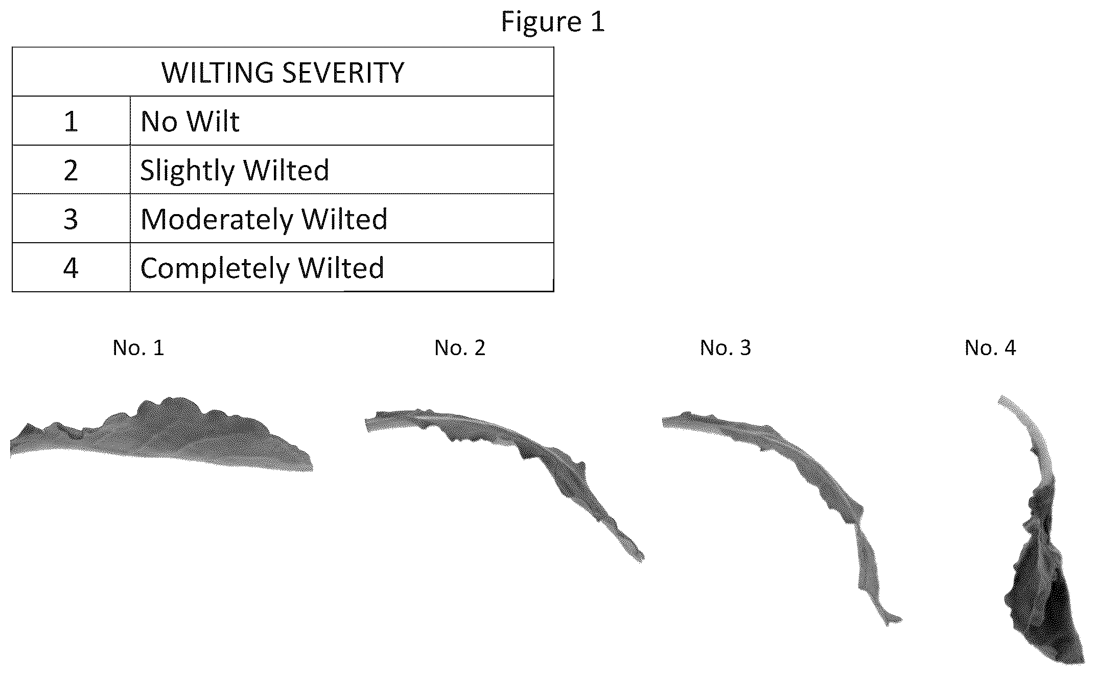 Patent US12612203 — Storage and/or transportation of produce, flowers and plants — Figure 1