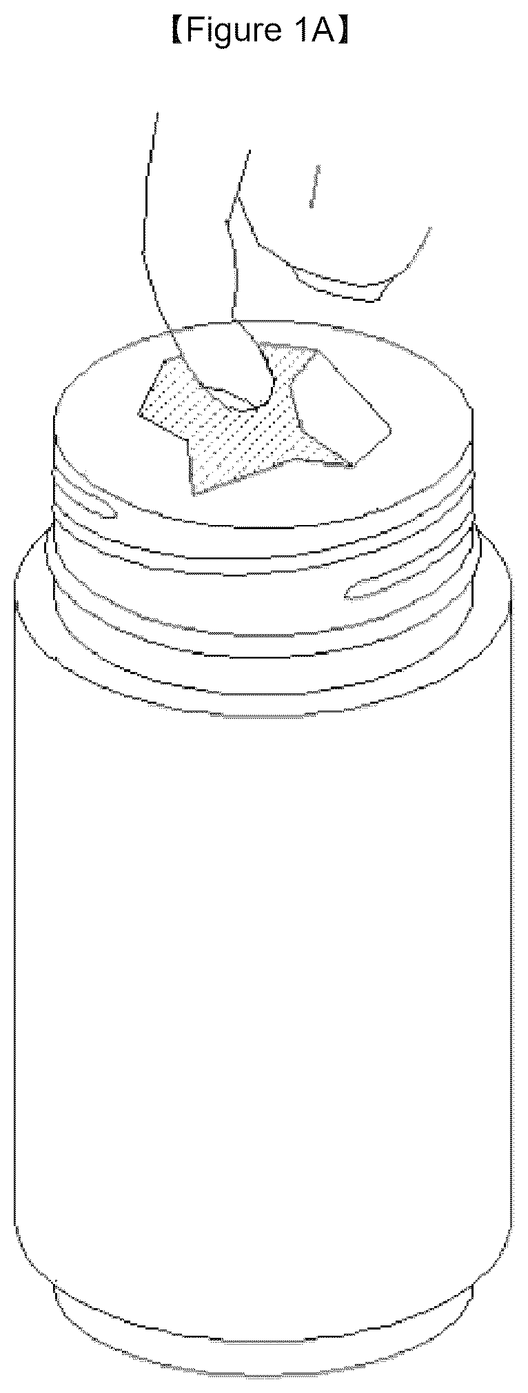 Patent US12612213 — Container sealing body — Figure 1