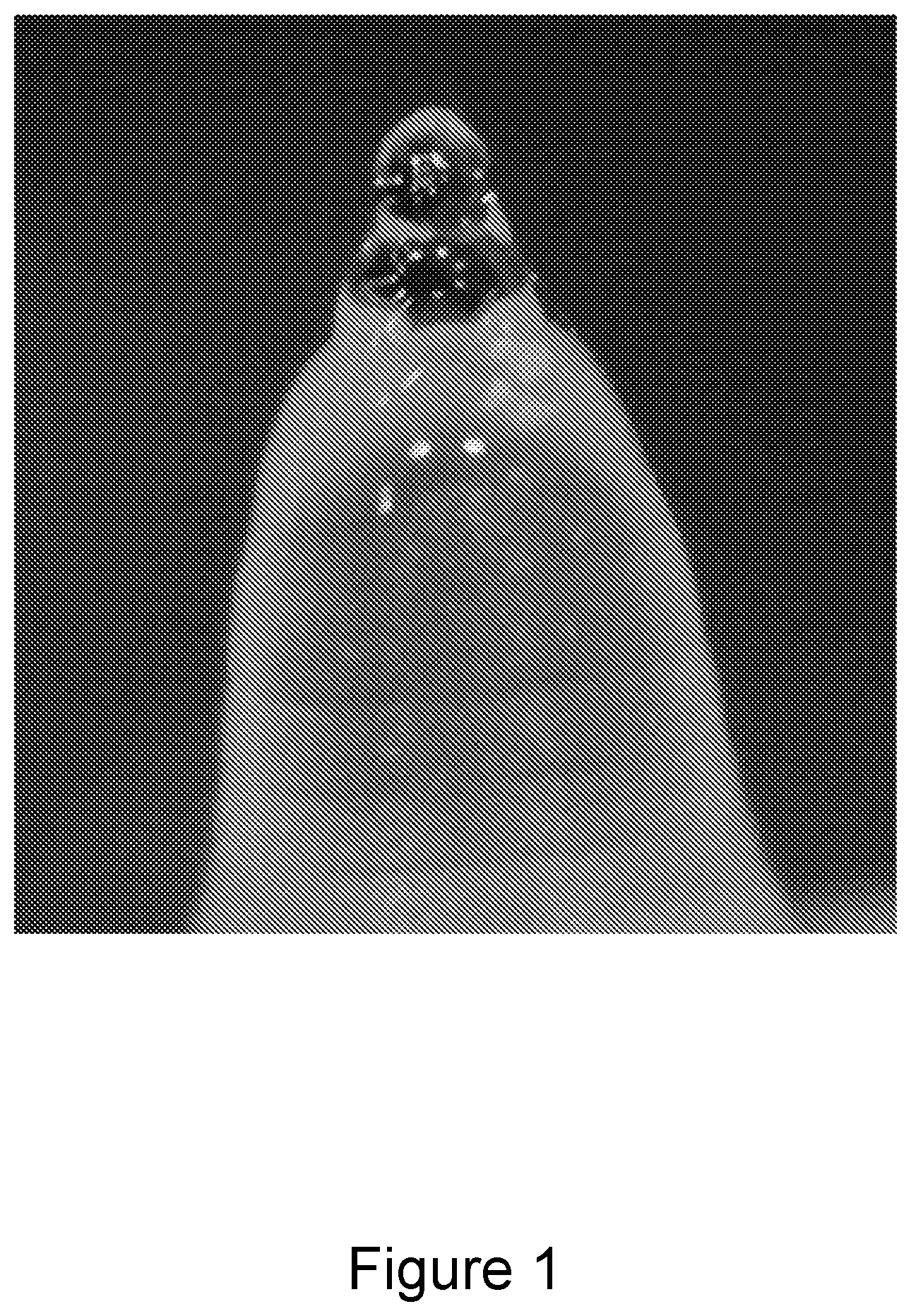 Patent US12612304 Figure 1 – Method for making microneedles using a high viscosity composition