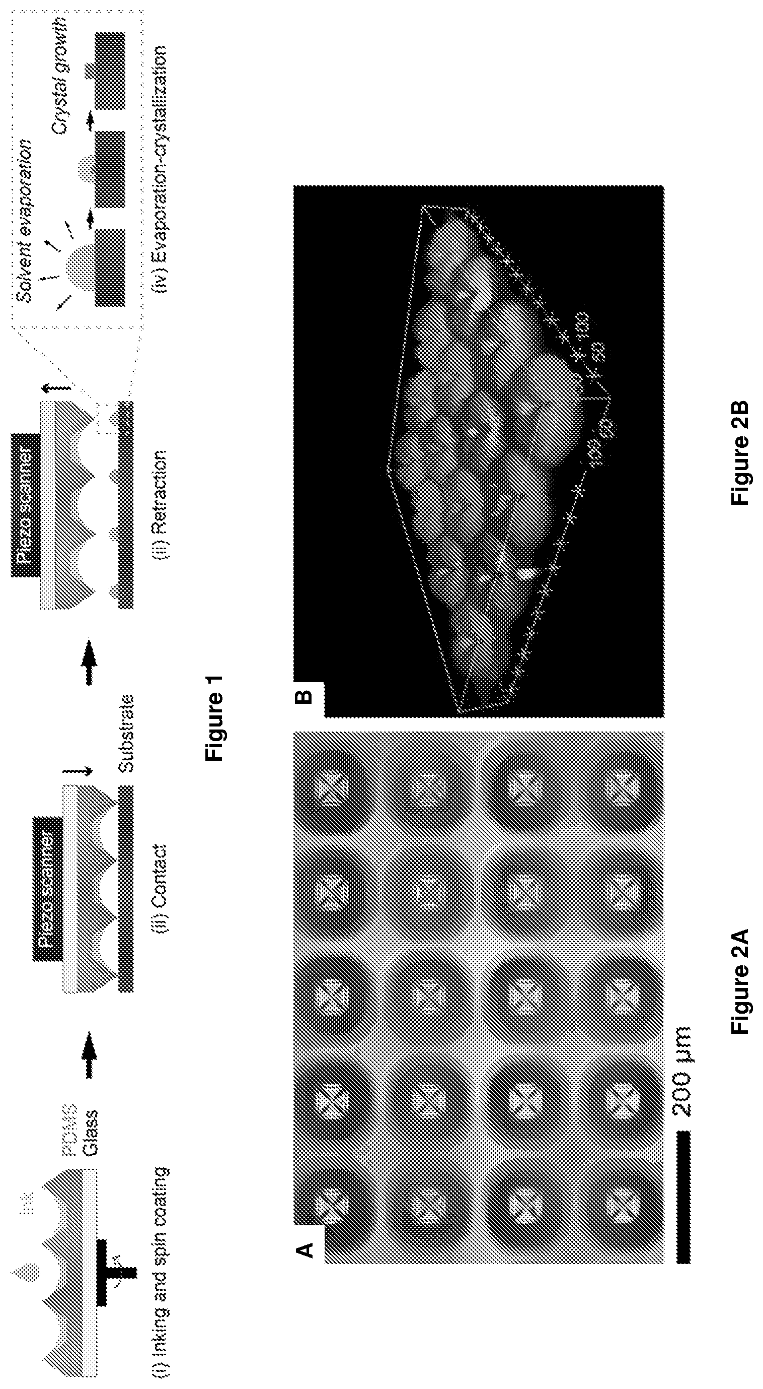 Patent US12612314 — Halide perovskite nanocrystal array and its preparation — Figure 1