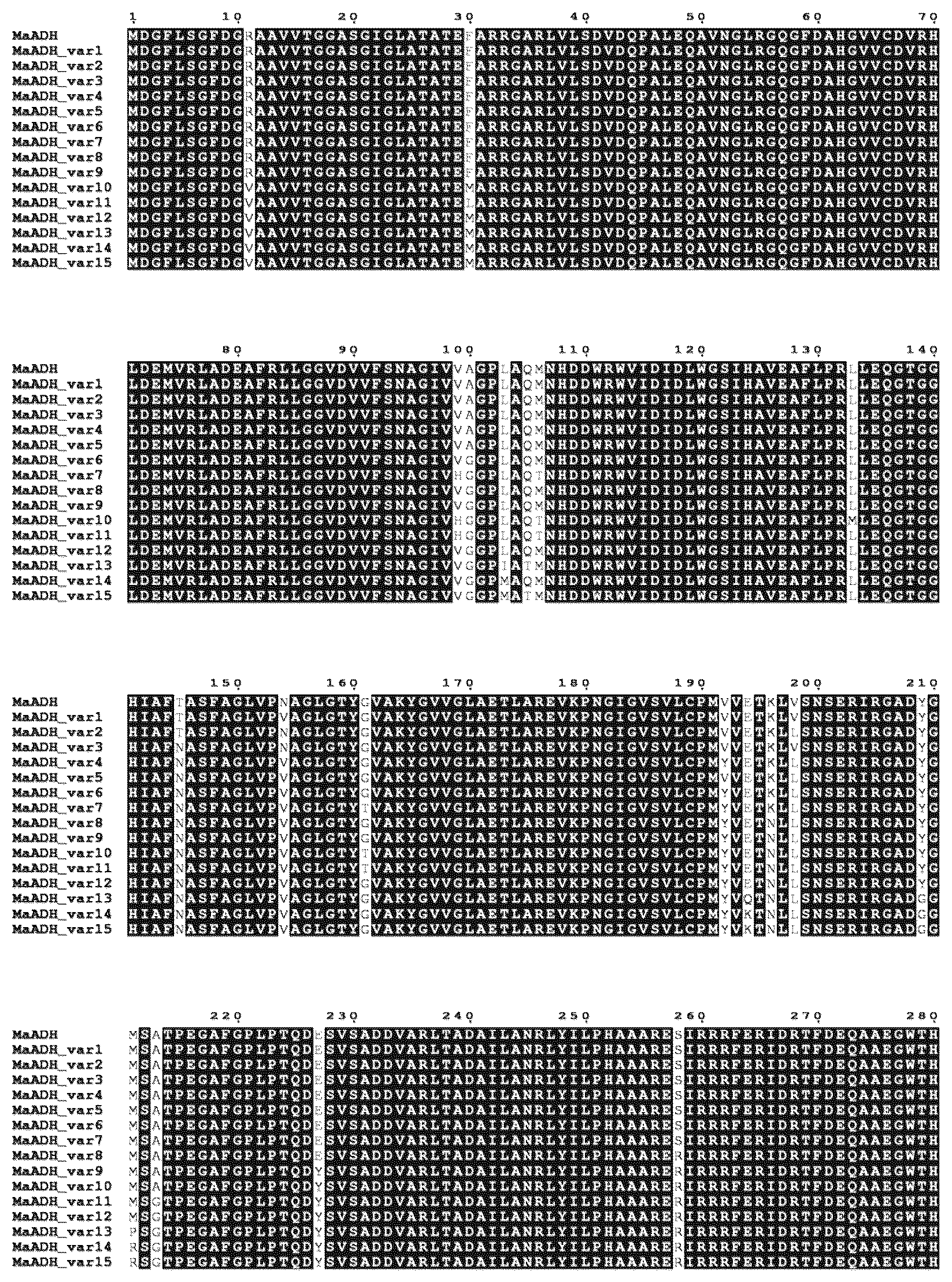 Patent US12612353 Figure 1 – Method for the production of musk fragrance ingredient