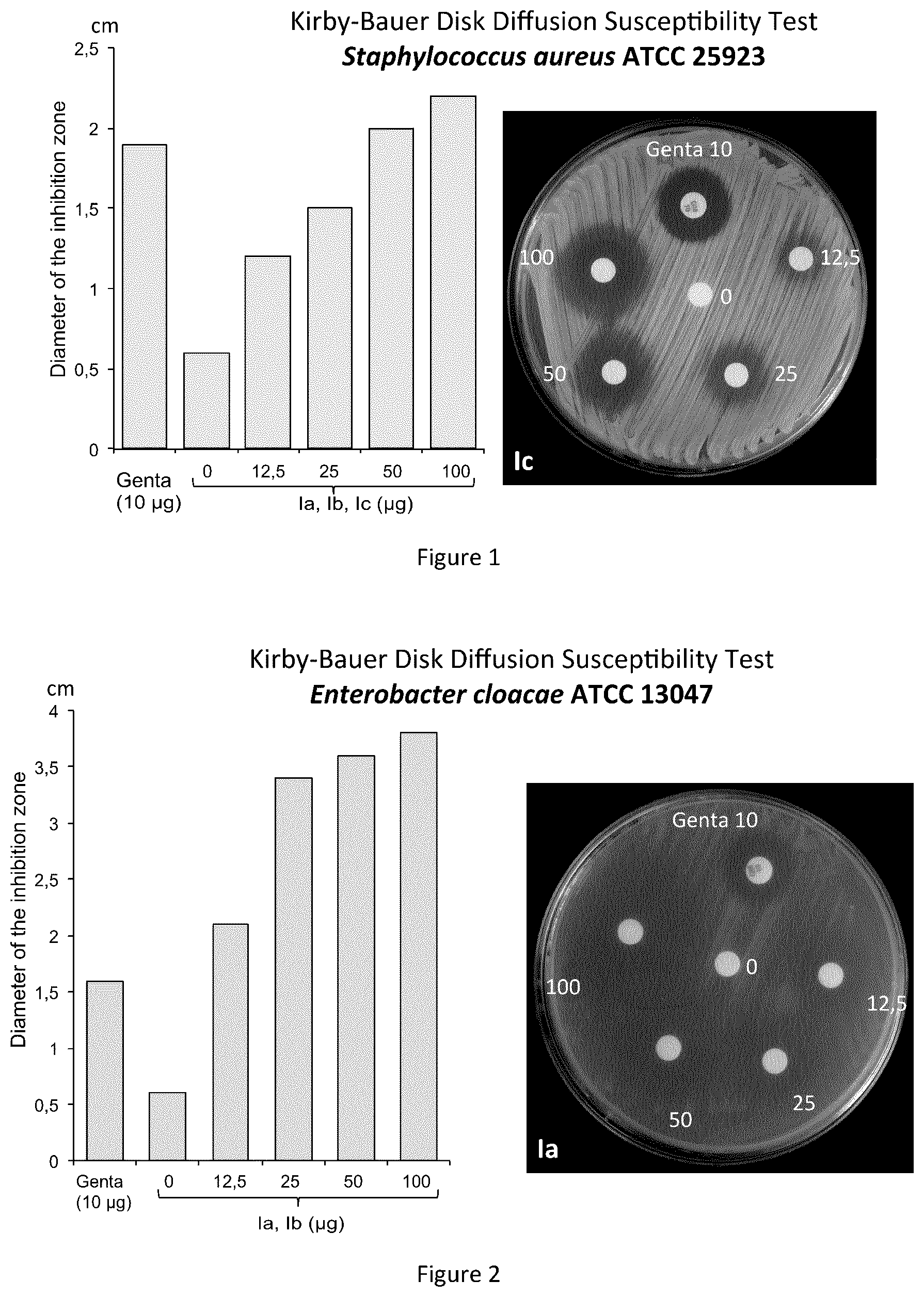 Patent US12612354 — Cyclopentenones derivatives and their use as antibiotics — Figure 1