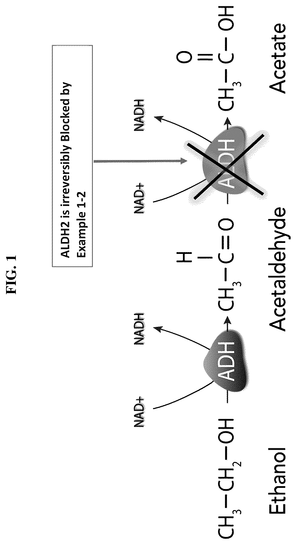 Patent US12612365 — Compounds and methods for treating alcohol disorder — Figure 1