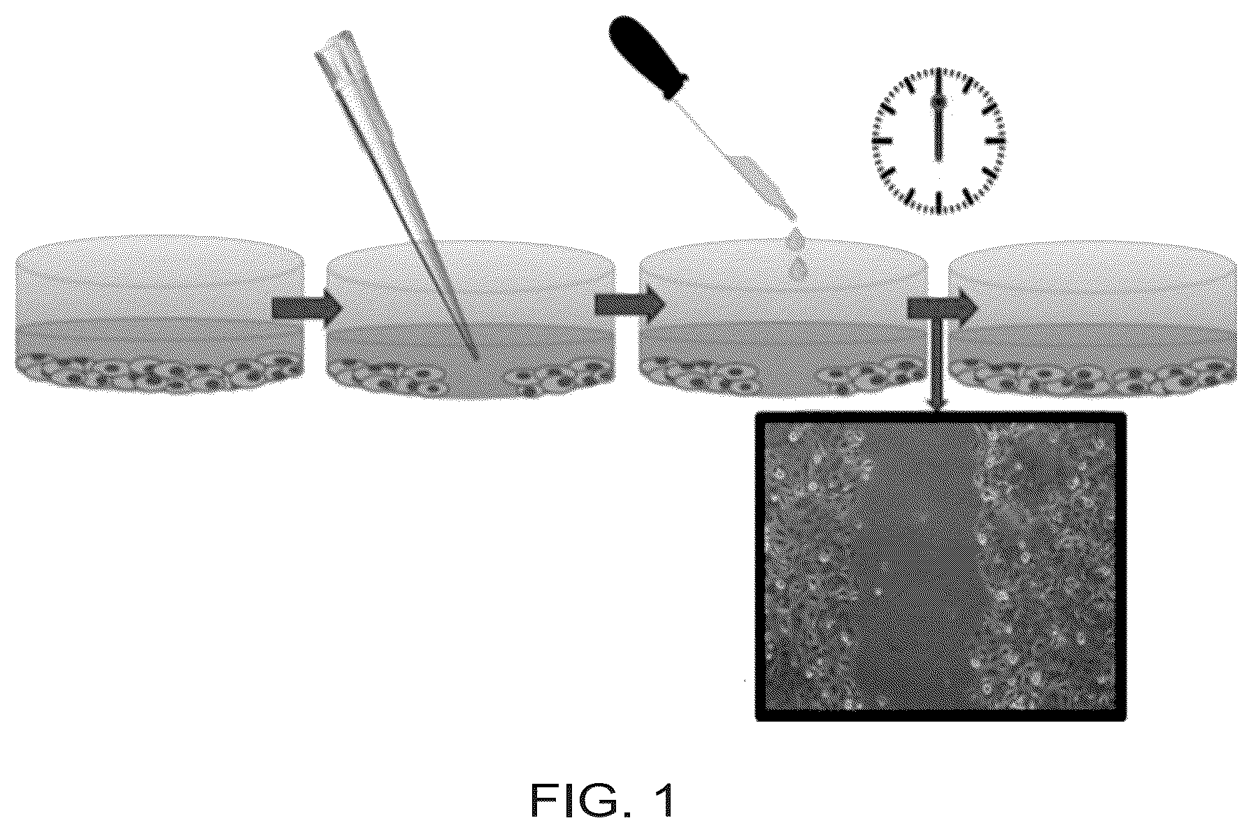 Patent US12612375 — Antimicrobial and anticancer agents — Figure 1