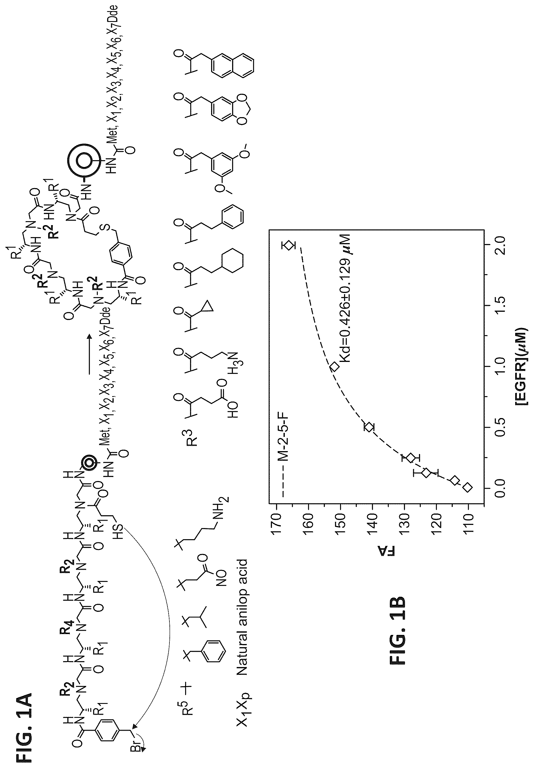 Patent US12612431 — Cyclic compounds for treating cancer — Figure 1