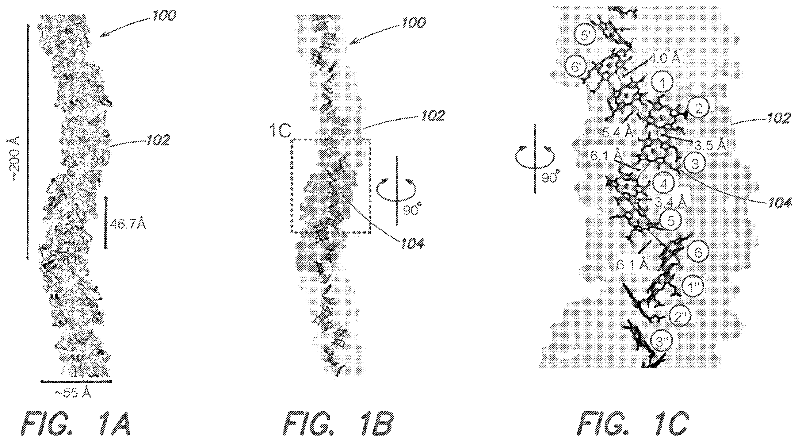 Patent US12612434 — Systems and methods for forming biological nanowires and applications thereof — Figure 1