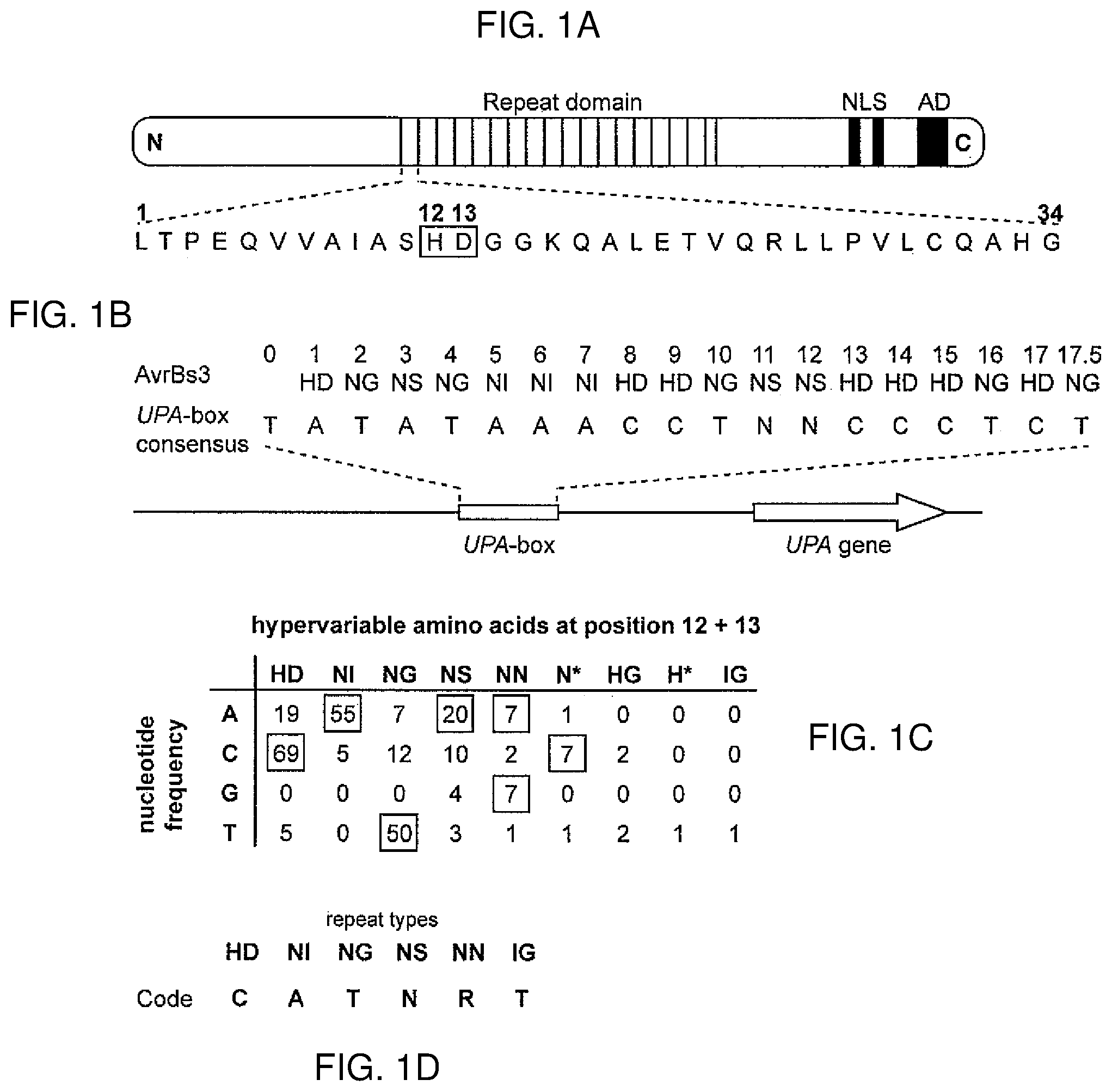 Patent US12612435 — Modular DNA-binding domains and methods of use — Figure 1