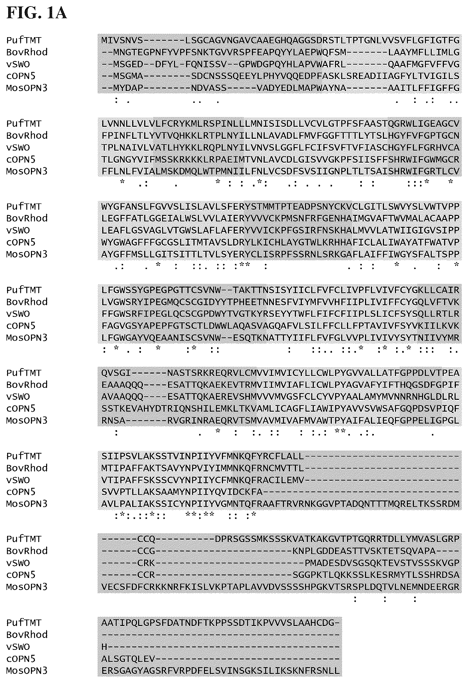 Patent US12612438 — Bistable type II opsins and uses thereof — Figure 1