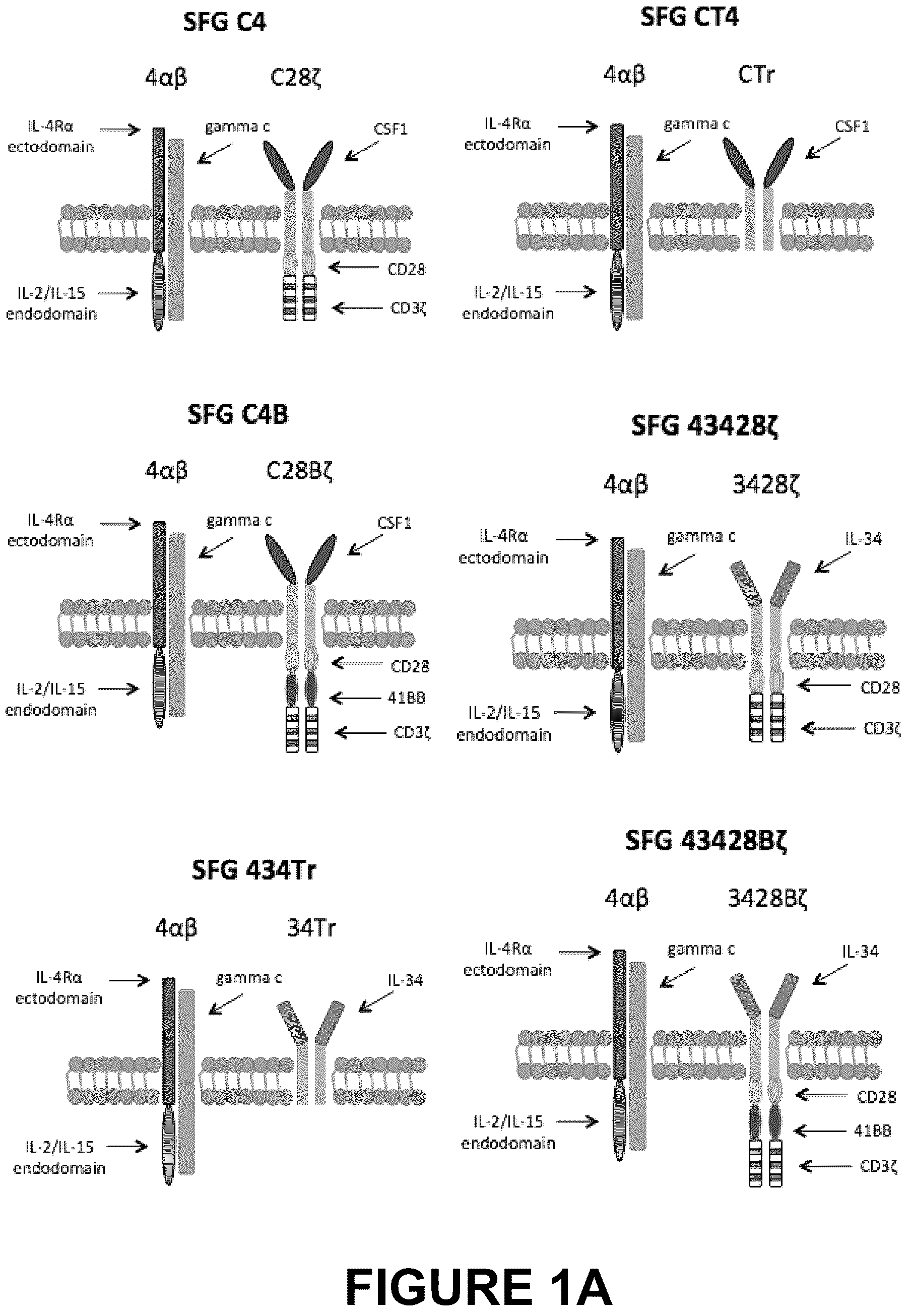 Patent US12612445 — Therapeutic agents — Figure 1