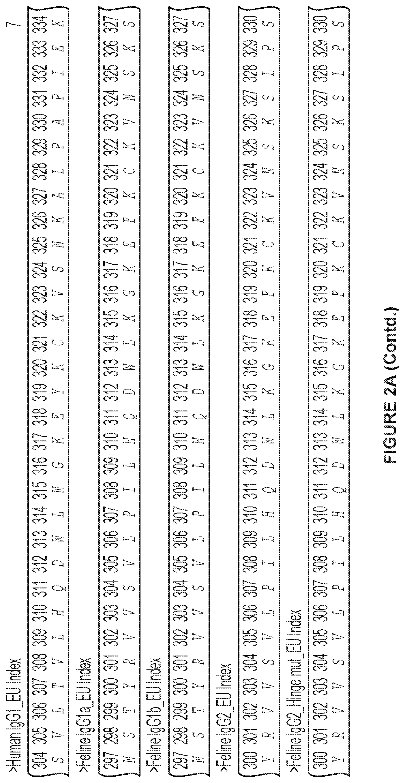 Patent US12612455 Figure 8 – Feline antibody variants