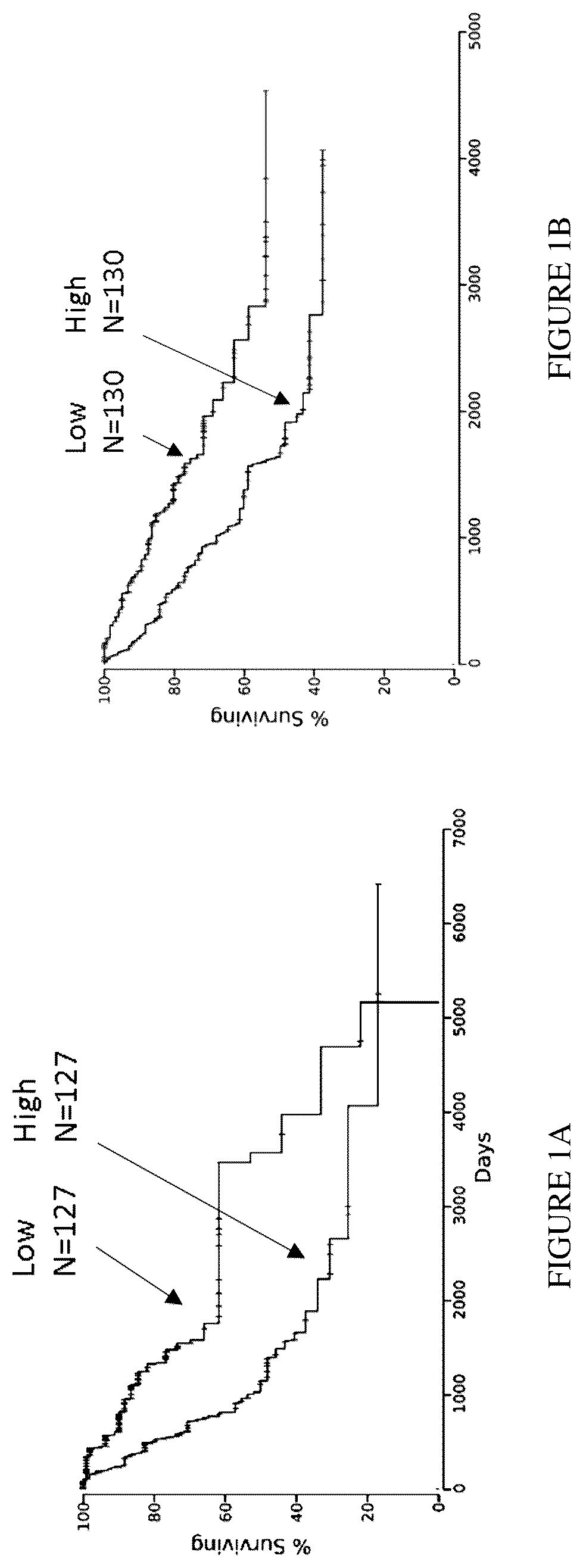Patent US12612457 — Humanized antibodies against Nectin-2 and drug conjugates thereof — Figure 1