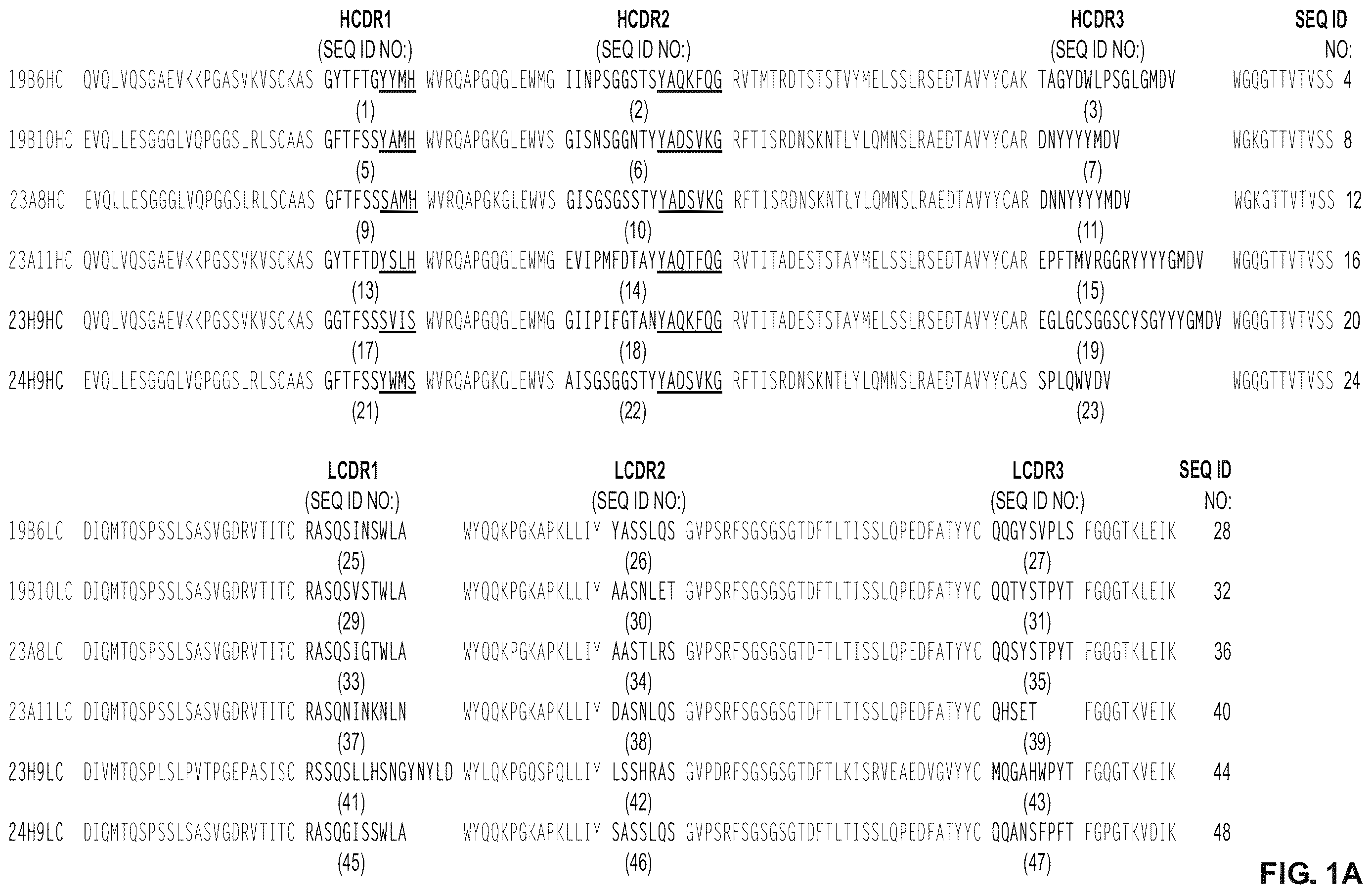 Patent US12612460 — Anti-PD-1 antibodies and fusion proteins — Figure 1