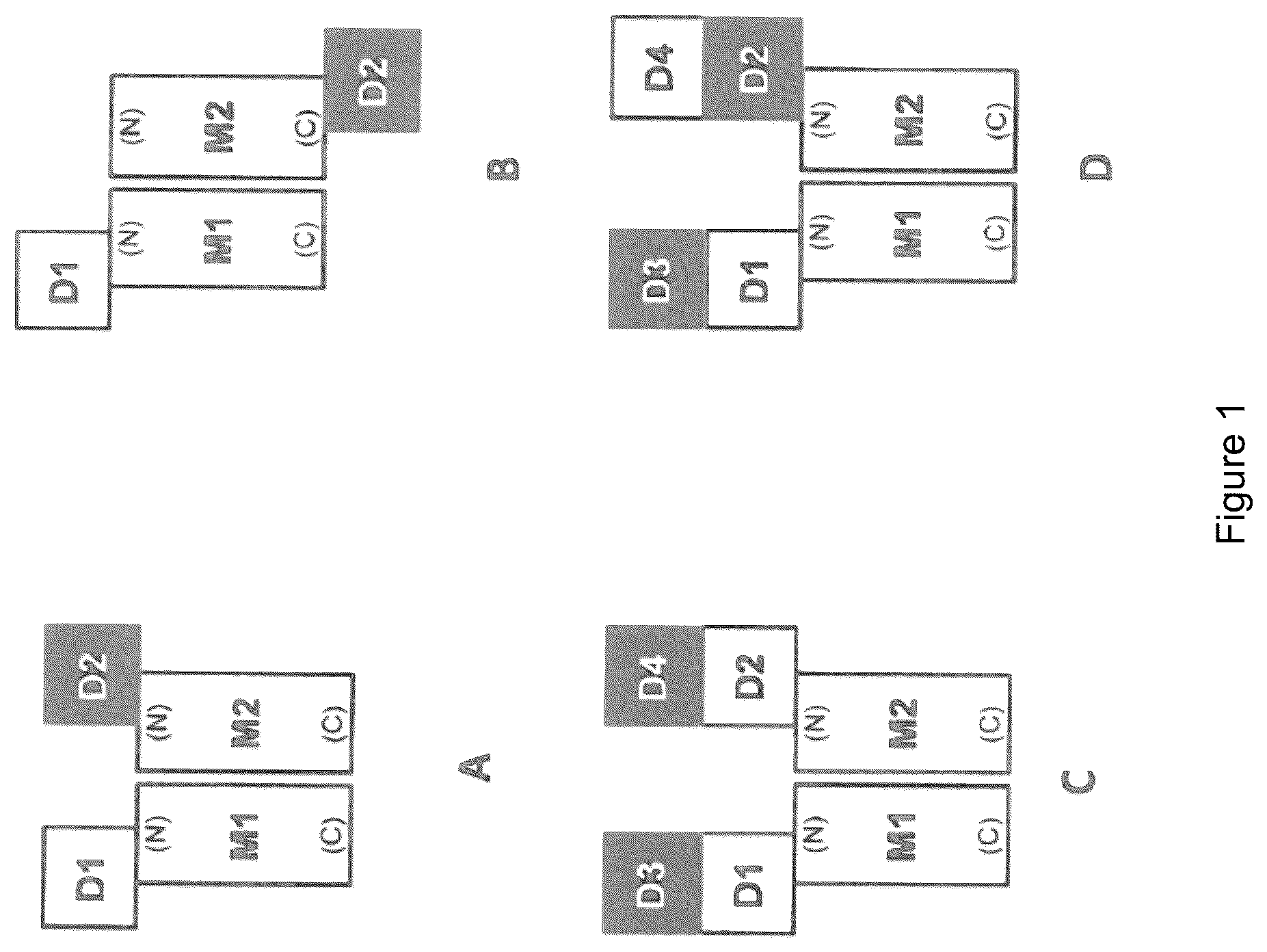 Patent US12612462 — Treatment and inhibition of inflammatory lung diseases in patients having risk alleles in the genes encoding IL33 and IL1RL1 — Figure 1