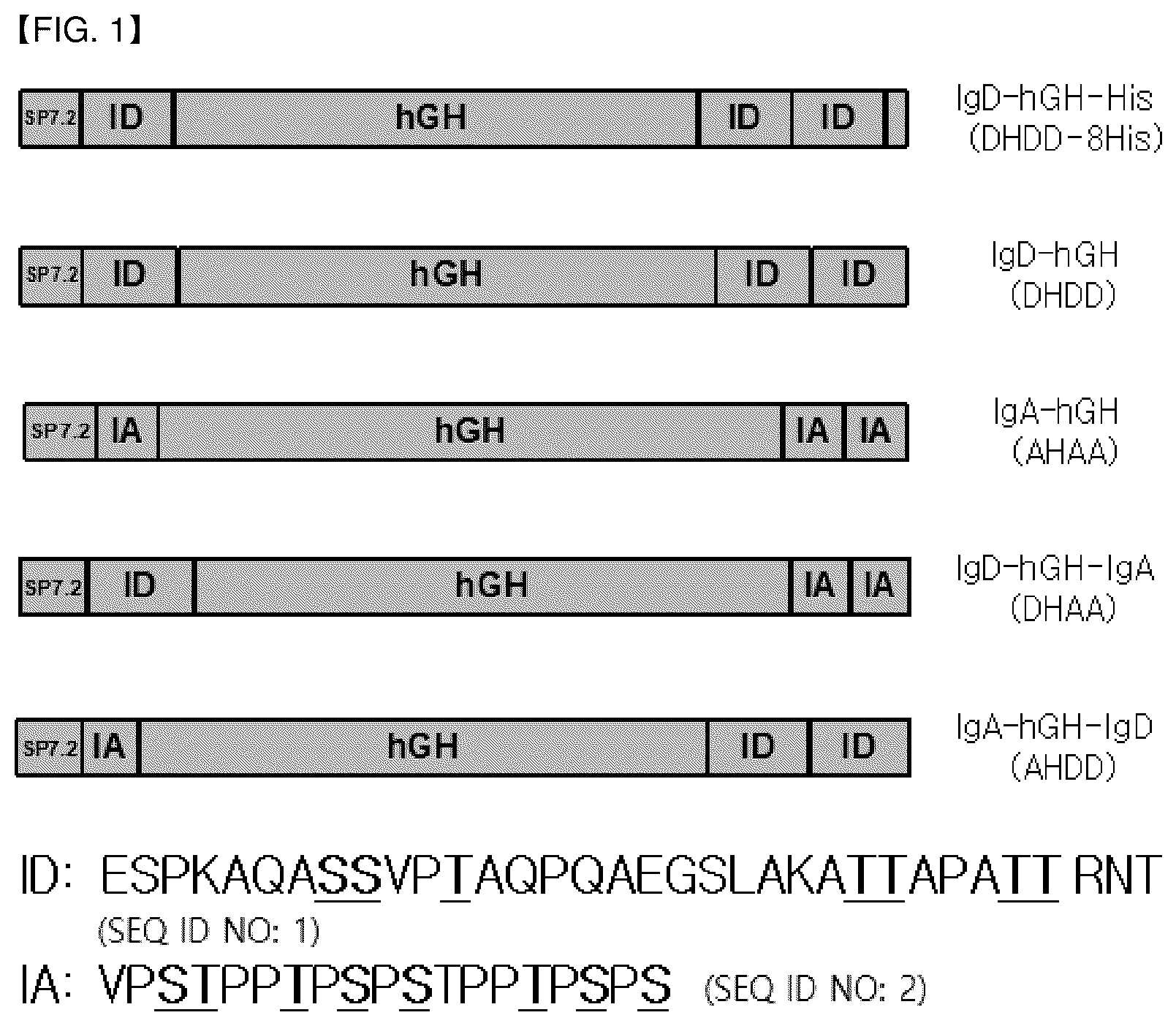 Patent US12612469 Figure 1 – Fusion polypeptide comprising polypeptide region that can be O-glycosylated