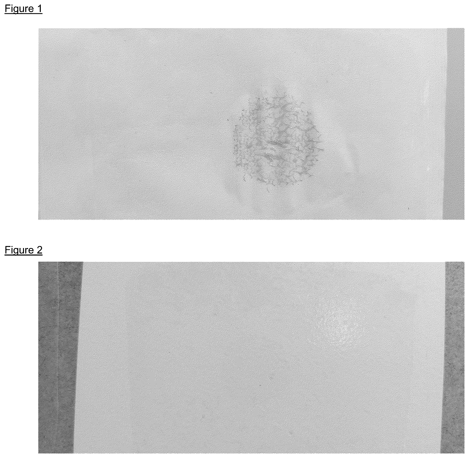 Patent US12612534 — Radical-curable composition — Figure 1