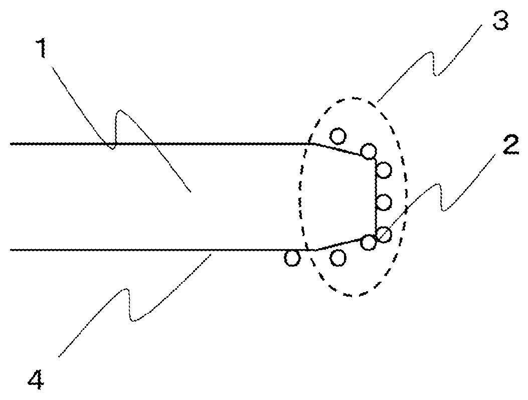 Patent US12612580 — Treatment liquid for semiconductor wafers, which contains hypochlorite ions — Figure 1