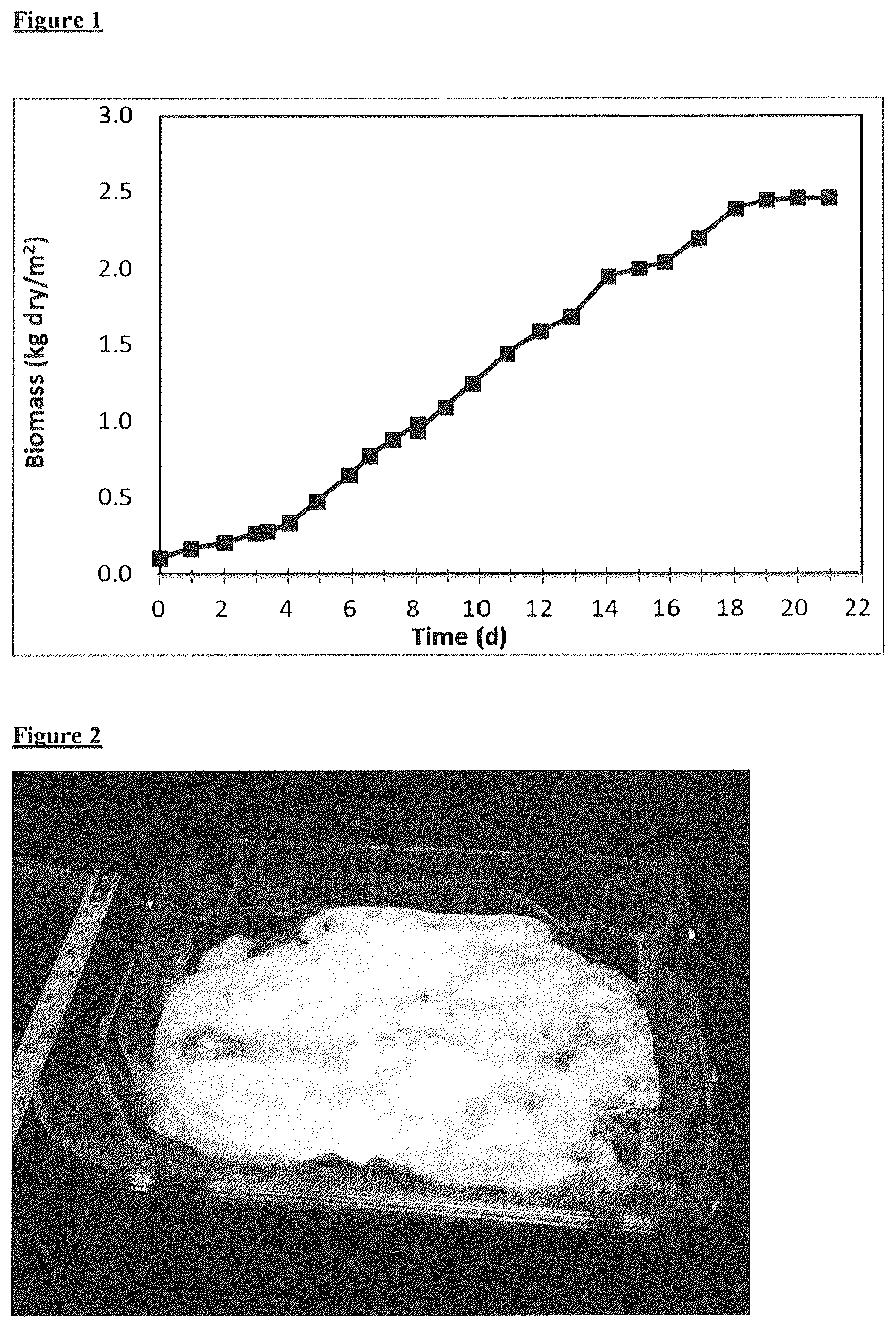 Patent US12612593 — Food materials comprising filamentous fungal particles and membrane bioreactor design — Figure 1