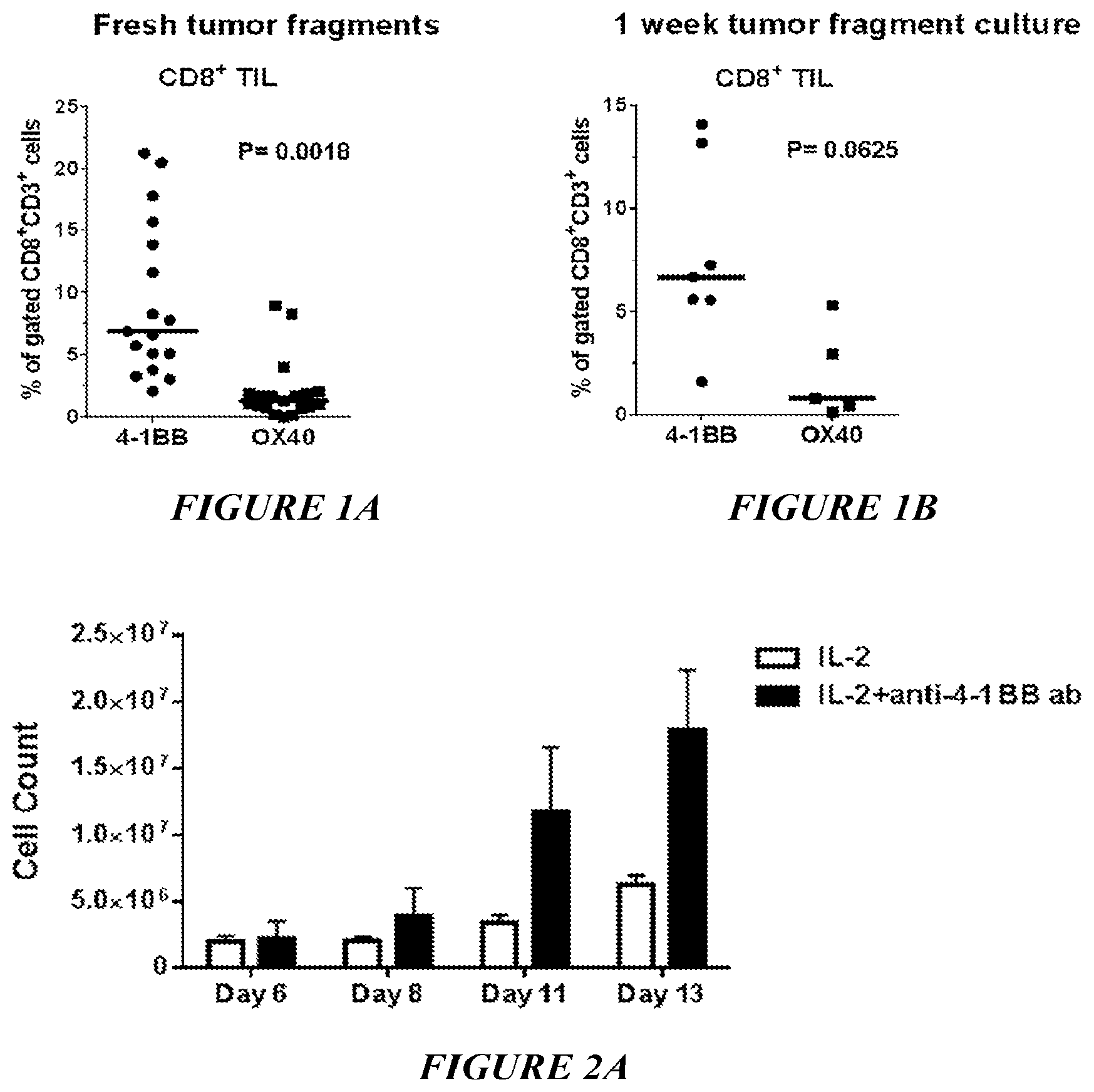 Patent US12612598 Figure 1 – Enhanced expansion of tumor-infiltrating lymphocytes for adoptive cell therapy