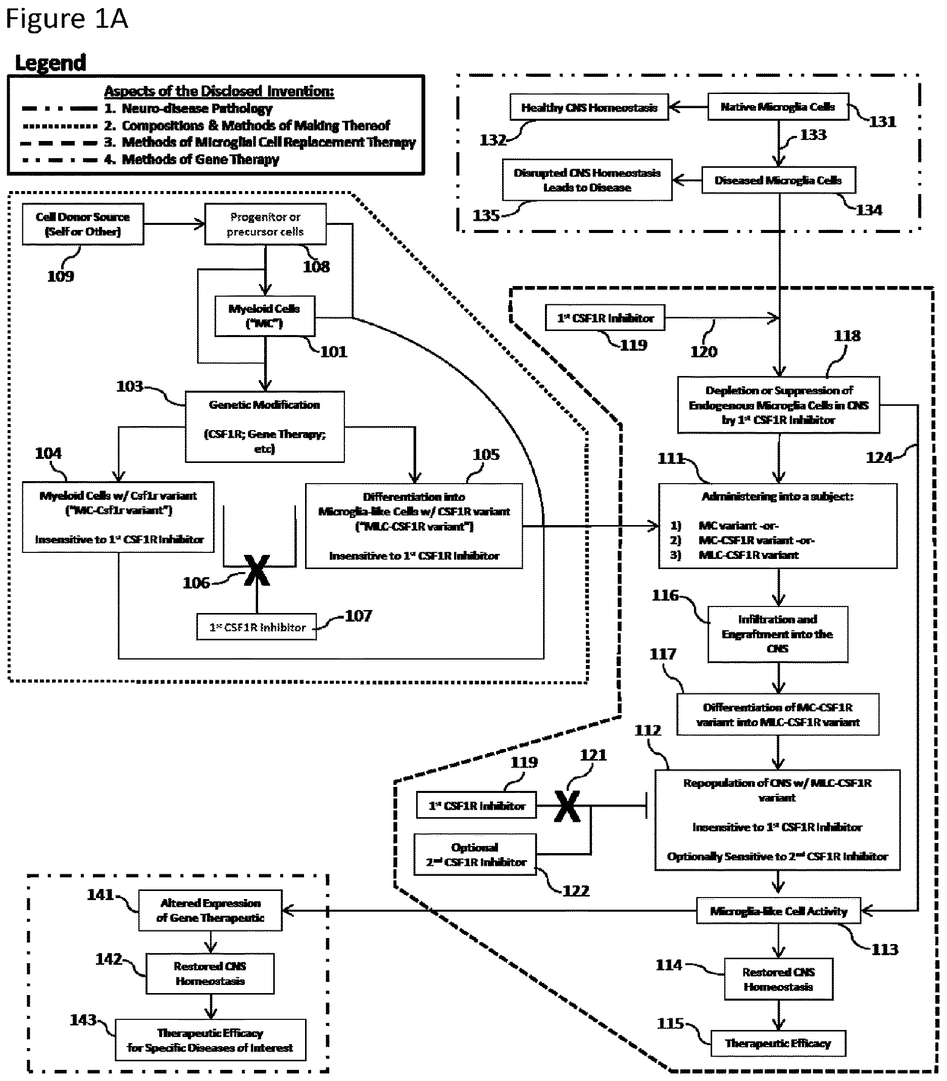 Patent US12612599 — Compositions and methods for microglia replacement therapy — Figure 1