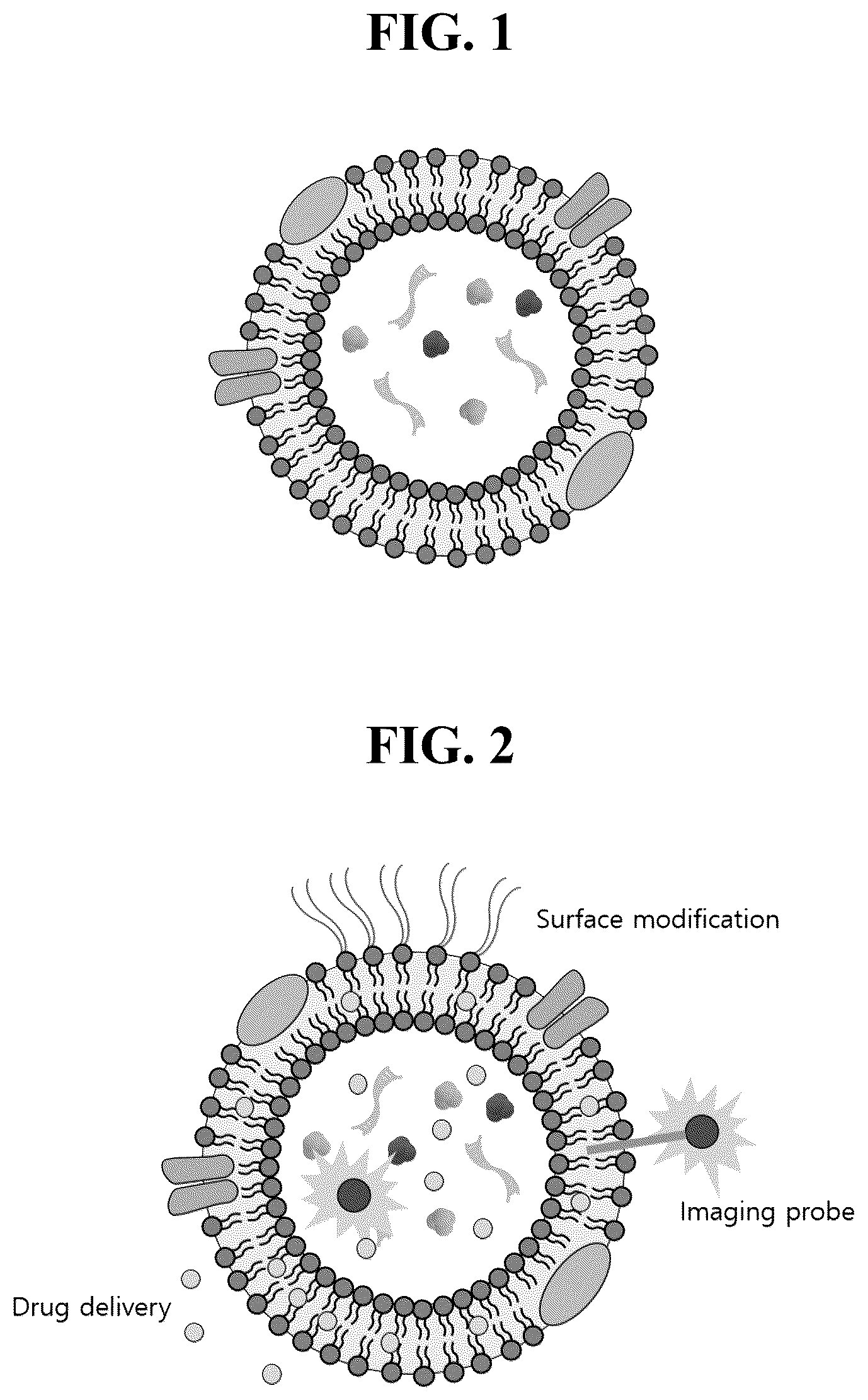 Patent US12612601 — Use of cross-flow filtration device for preparing functional exosome — Figure 1