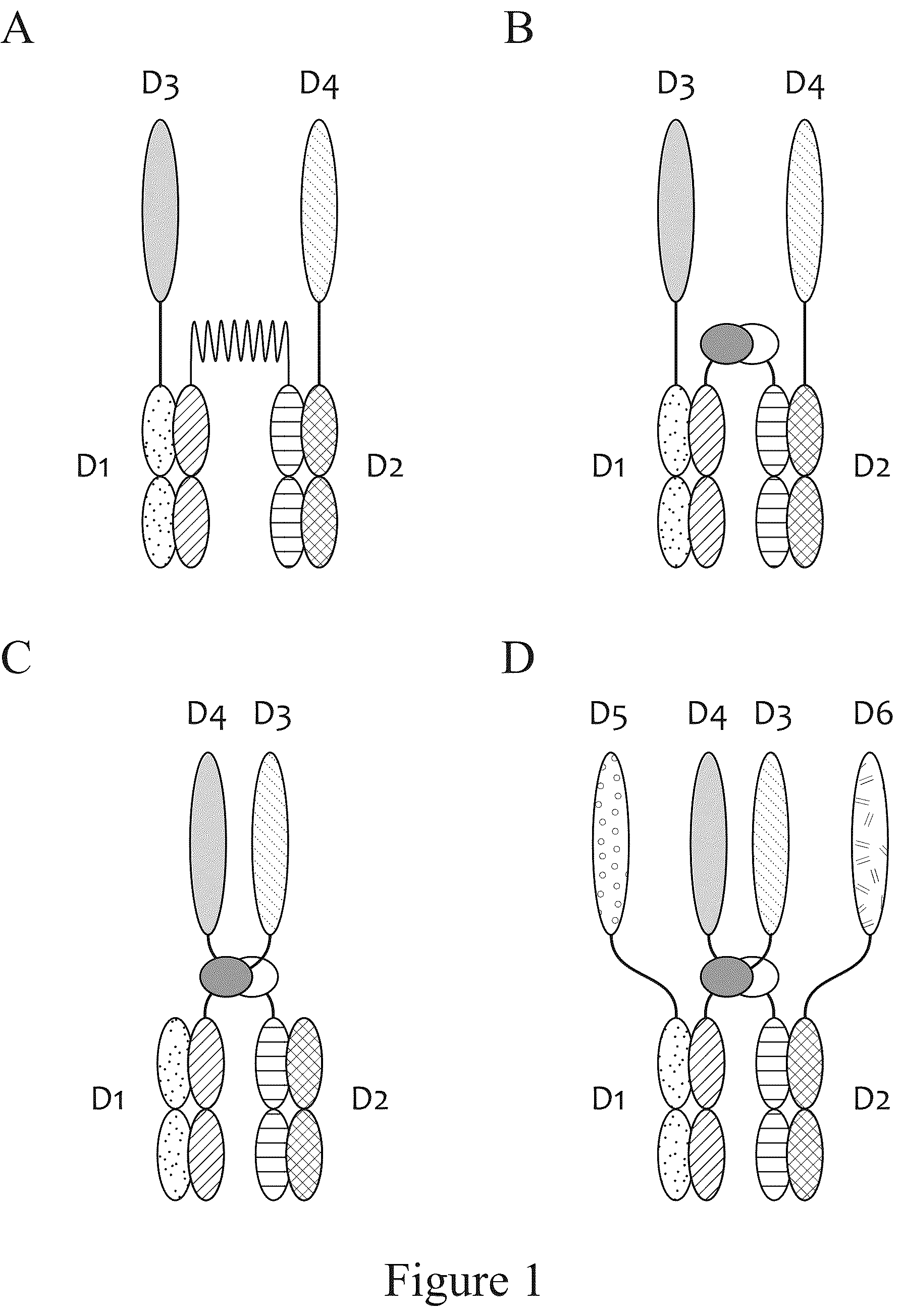 Patent US12612611 — Tetrahedral antibodies — Figure 1