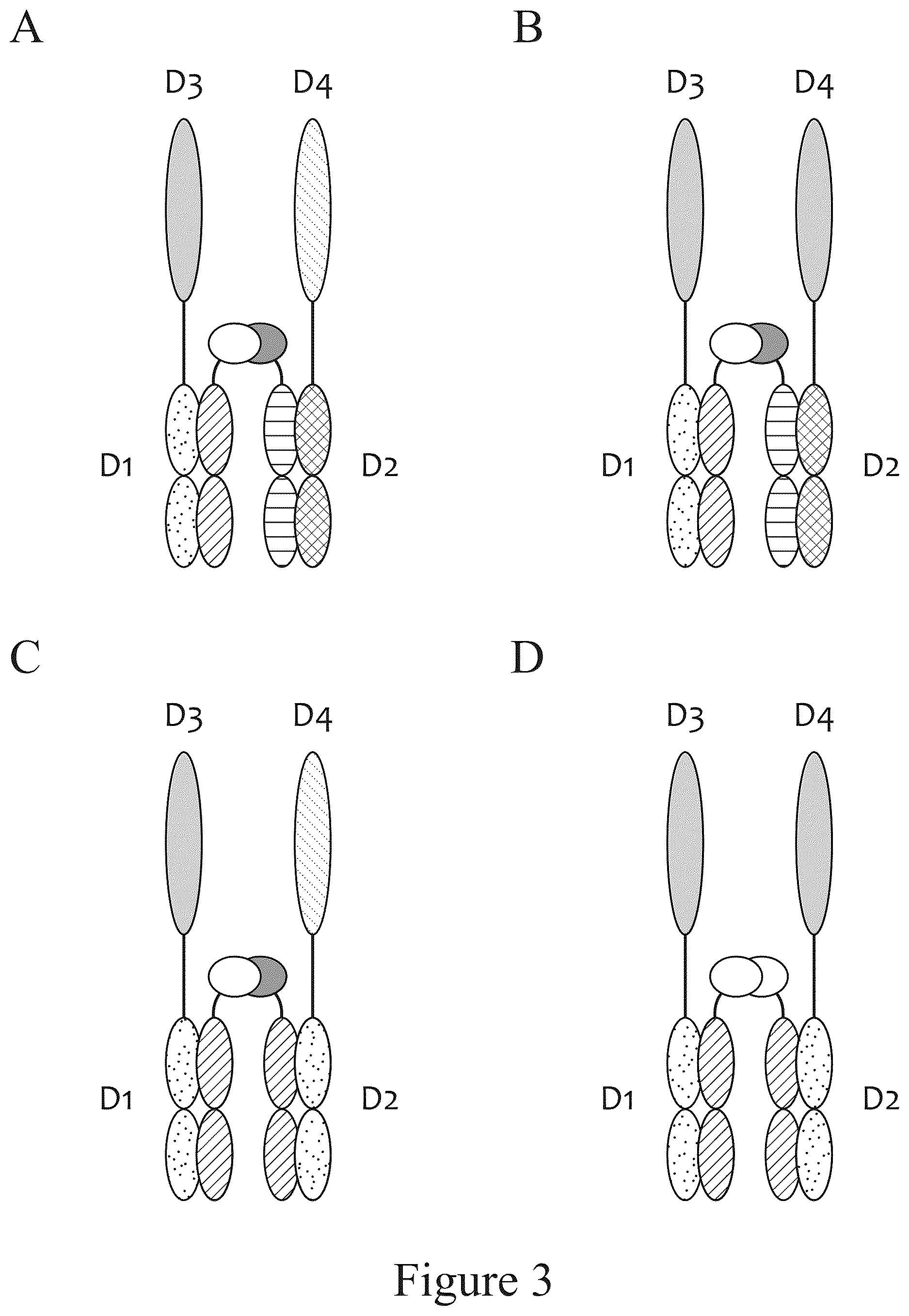 Patent US12612611 Figure 3 – Tetrahedral antibodies