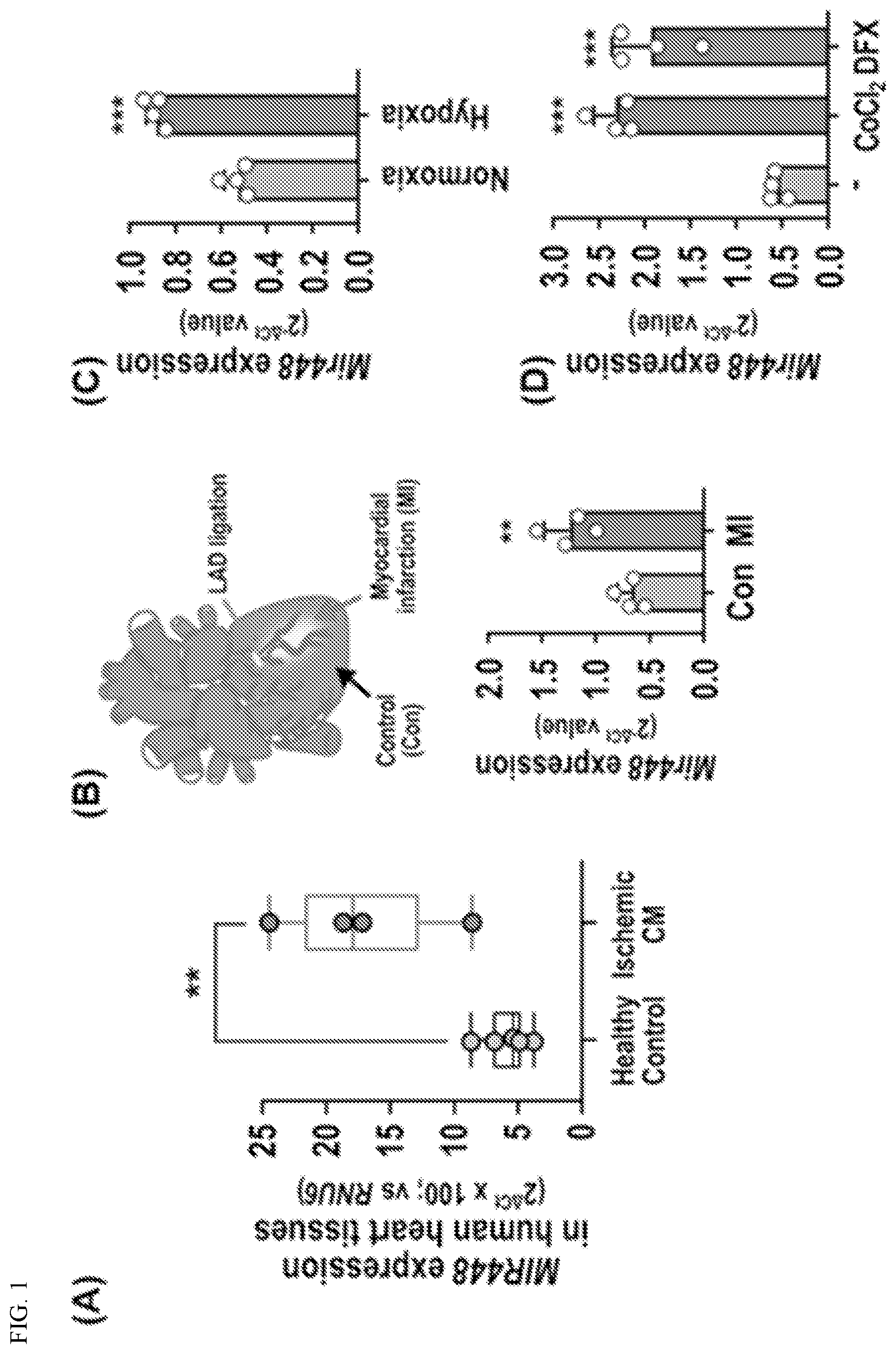 Patent US12612627 — Compositions and methods for increasing sodium current in cardiac cells — Figure 1