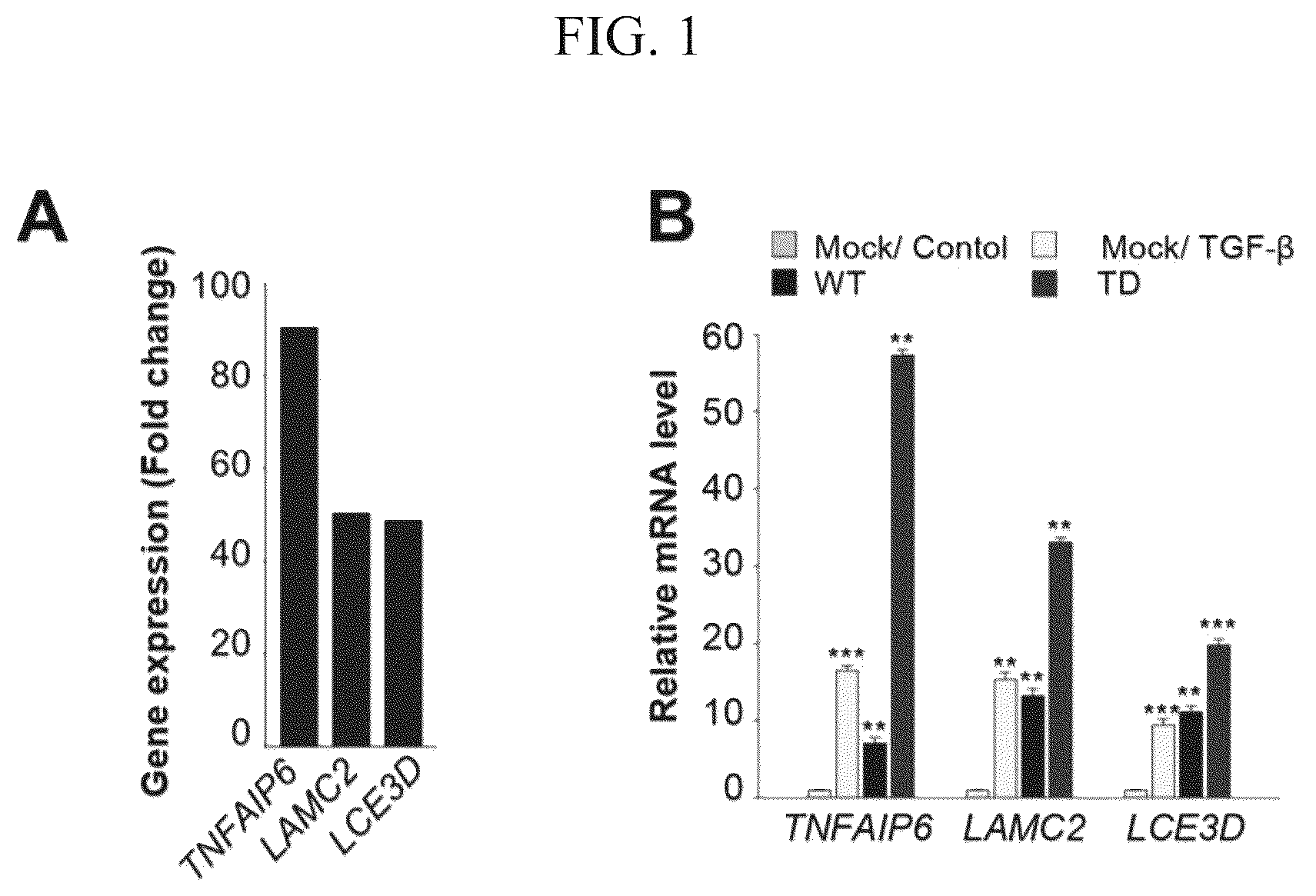 Patent US12612628 — Composition for treating metastatic solid cancer, comprising TSG6 inhibitor — Figure 1