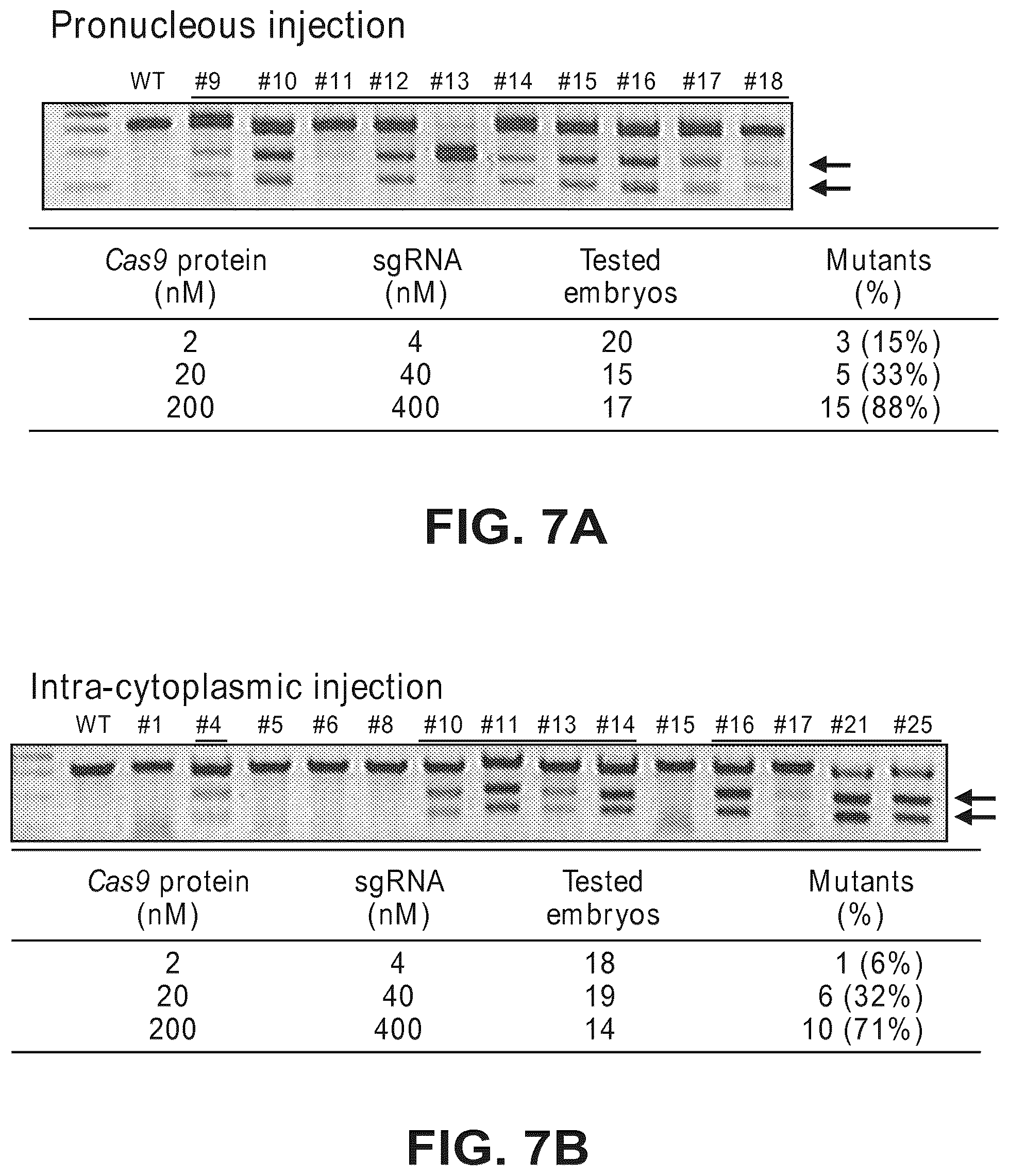 Patent US12612632 Figure 13 – Compositions for inducing modifications of target endogenous nucleic acid sequences in nucleuses of eukaryotic cells