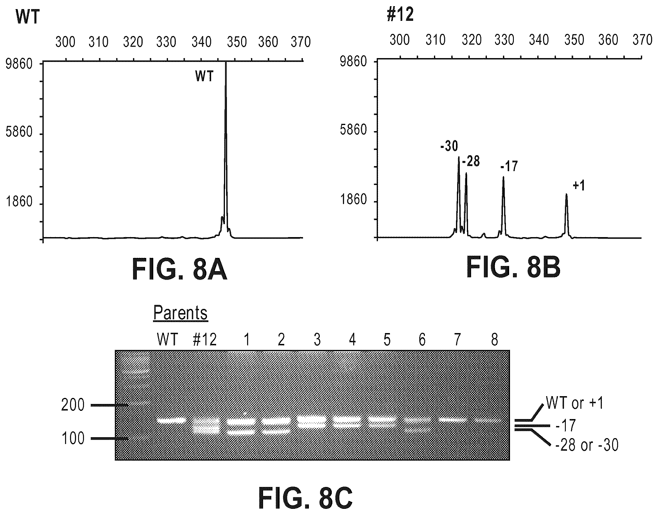 Patent US12612633 Figure 15 – Compositions for inducing modifications of target endogenous nucleic acid sequences in nucleuses of eukaryotic cells