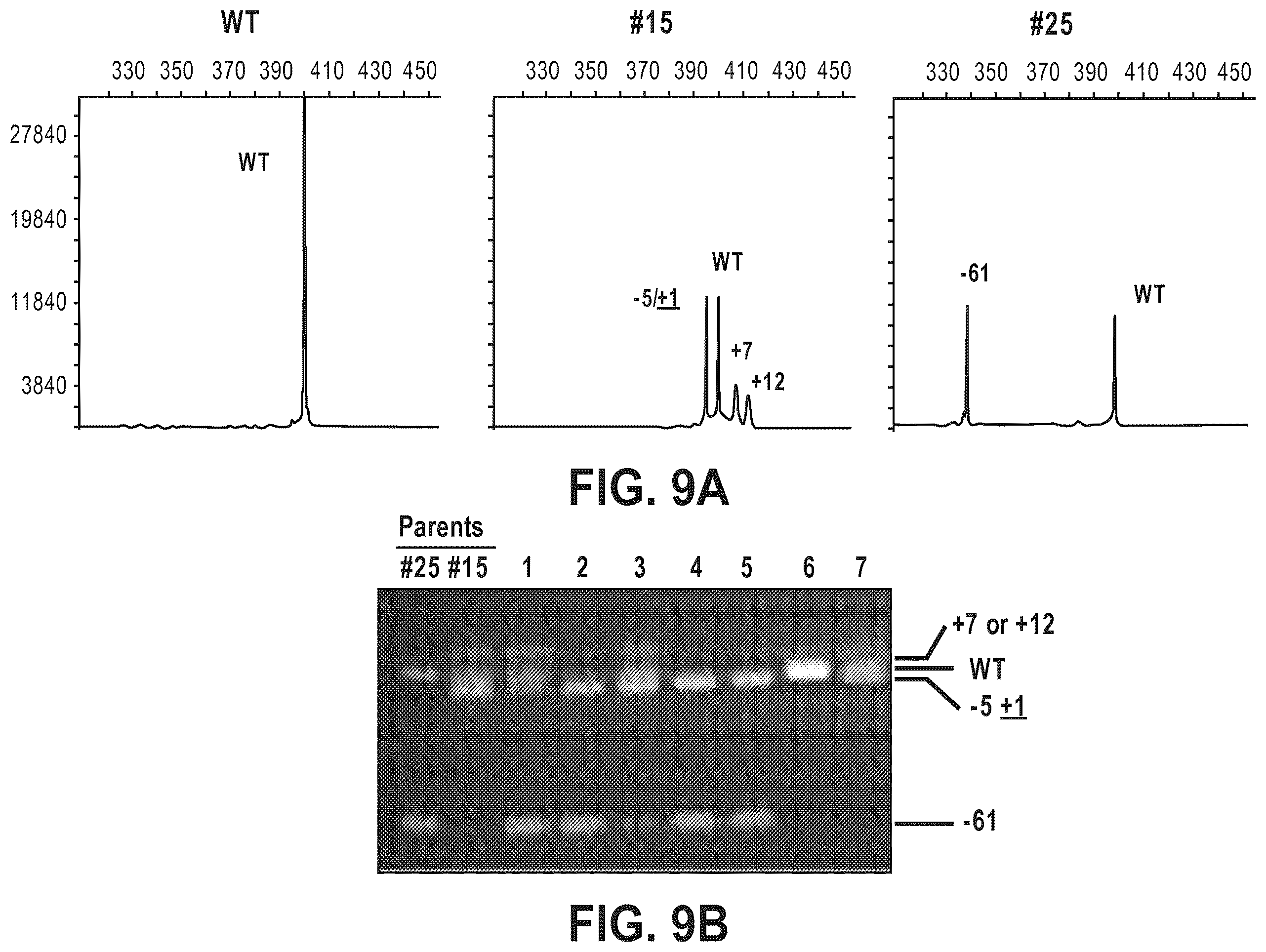 Patent US12612633 Figure 16 – Compositions for inducing modifications of target endogenous nucleic acid sequences in nucleuses of eukaryotic cells