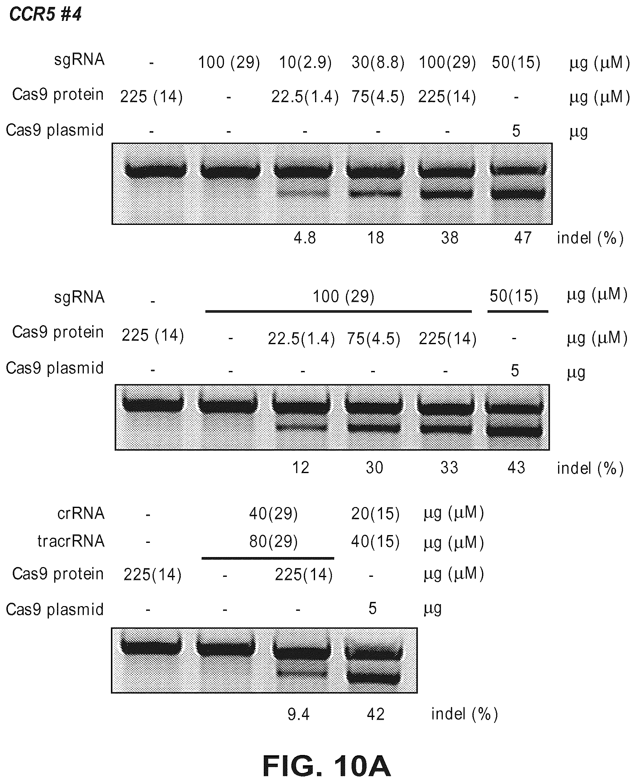 Patent US12612633 Figure 17 – Compositions for inducing modifications of target endogenous nucleic acid sequences in nucleuses of eukaryotic cells