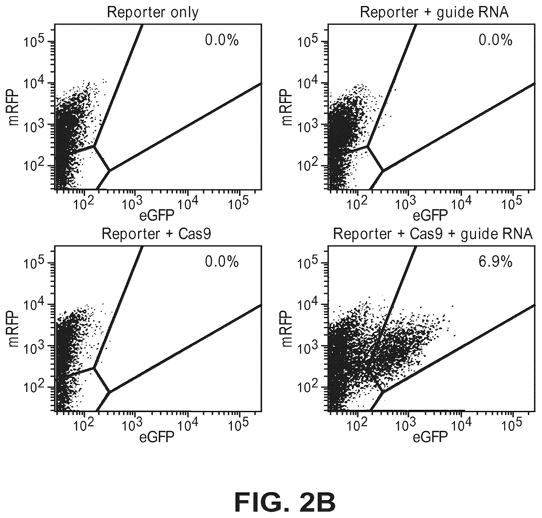 Patent US12612634 Figure 4 – Compositions for inducing modifications of target endogenous nucleic acid sequences in nucleuses of eukaryotic cells