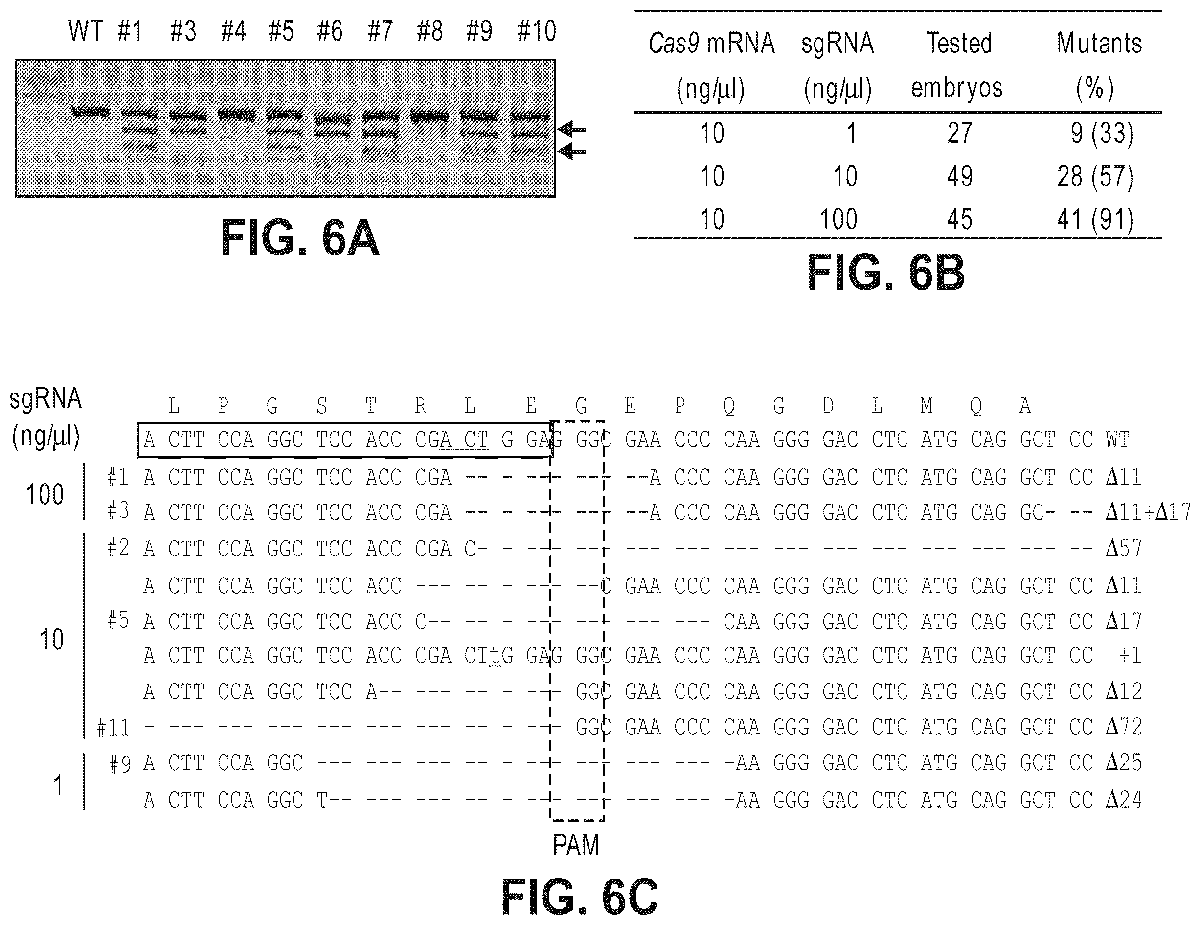 Patent US12612634 Figure 12 – Compositions for inducing modifications of target endogenous nucleic acid sequences in nucleuses of eukaryotic cells