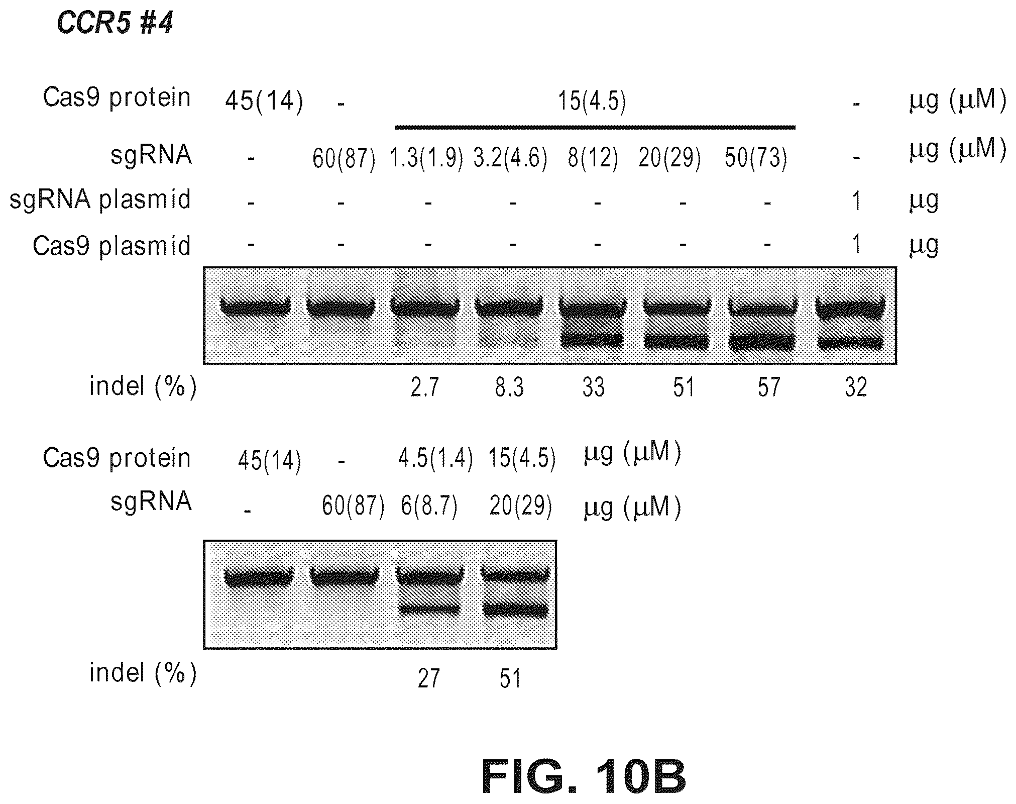 Patent US12612634 Figure 18 – Compositions for inducing modifications of target endogenous nucleic acid sequences in nucleuses of eukaryotic cells