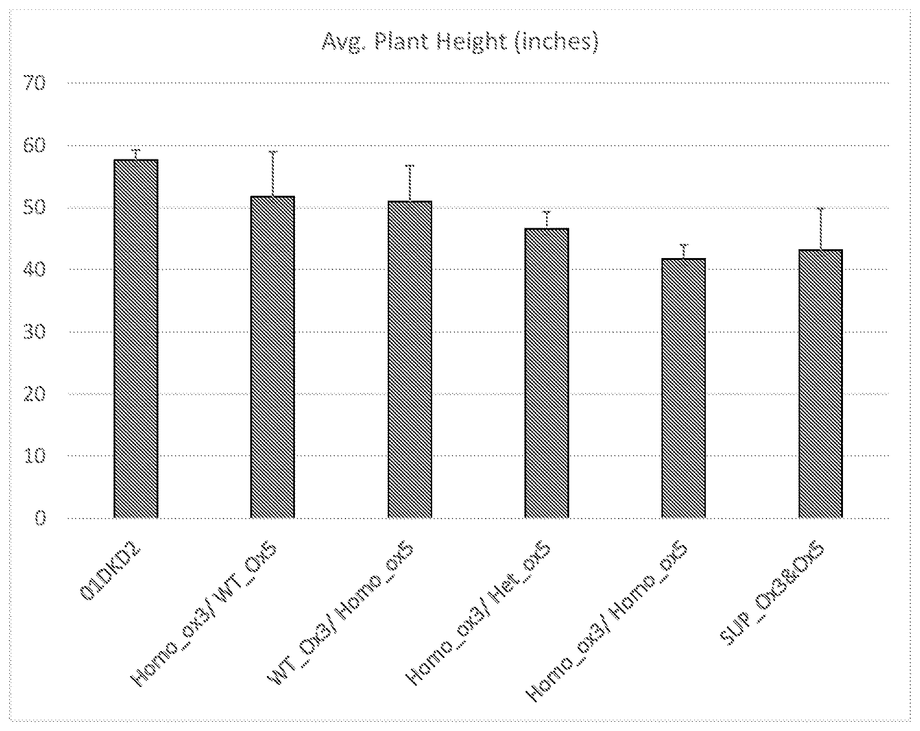 Patent US12612642 — Methods and compositions for increasing harvestable yield via editing GA20 oxidase genes to generate short stature plants — Figure 1