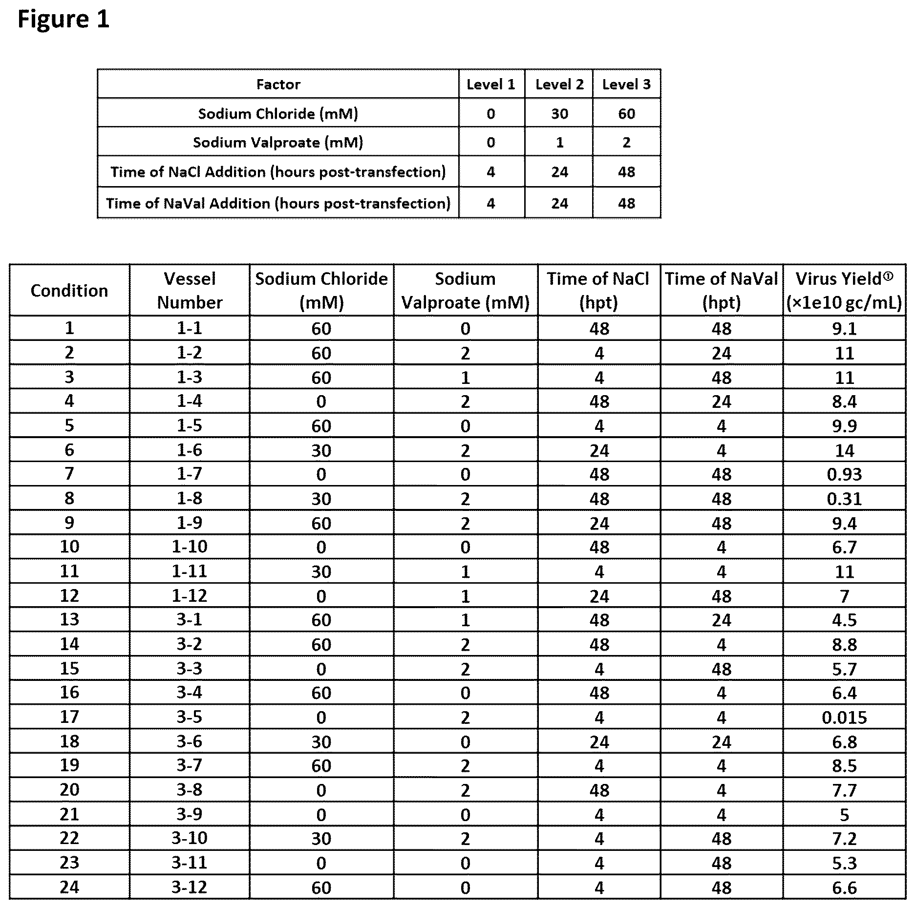 Patent US12612644 — Scalable method for recombinant AAV production — Figure 1