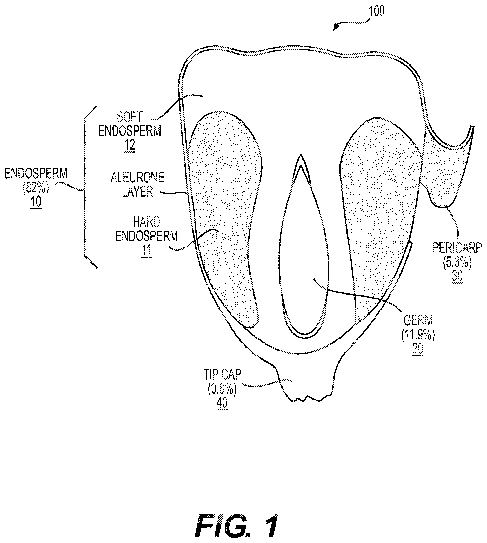 Patent US12612652 — High purity starch stream methods and systems — Figure 1